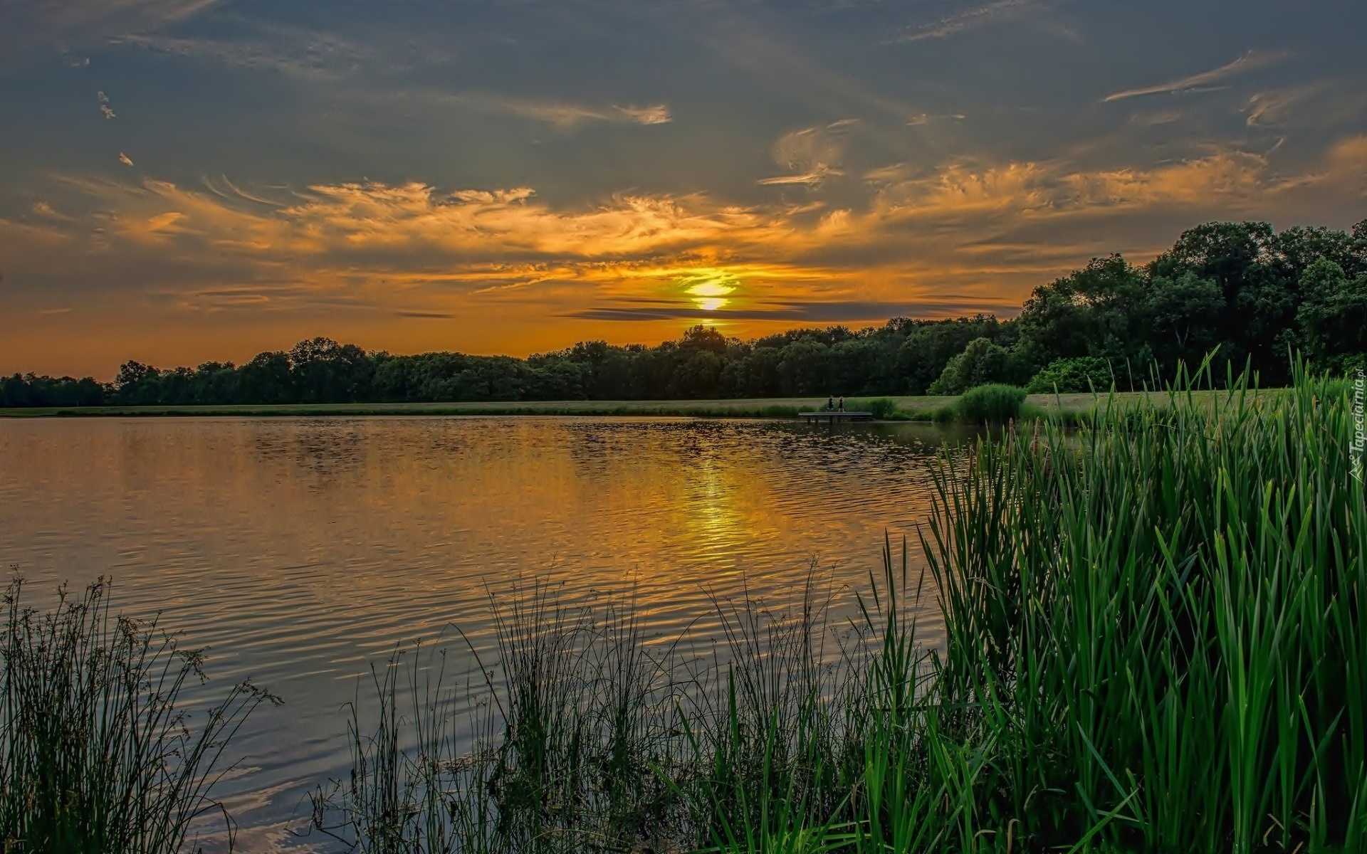 Wschód Słońca, Jezioro, Szuwary