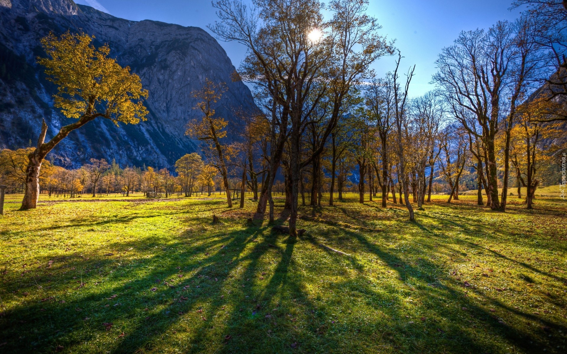 Park, Góry