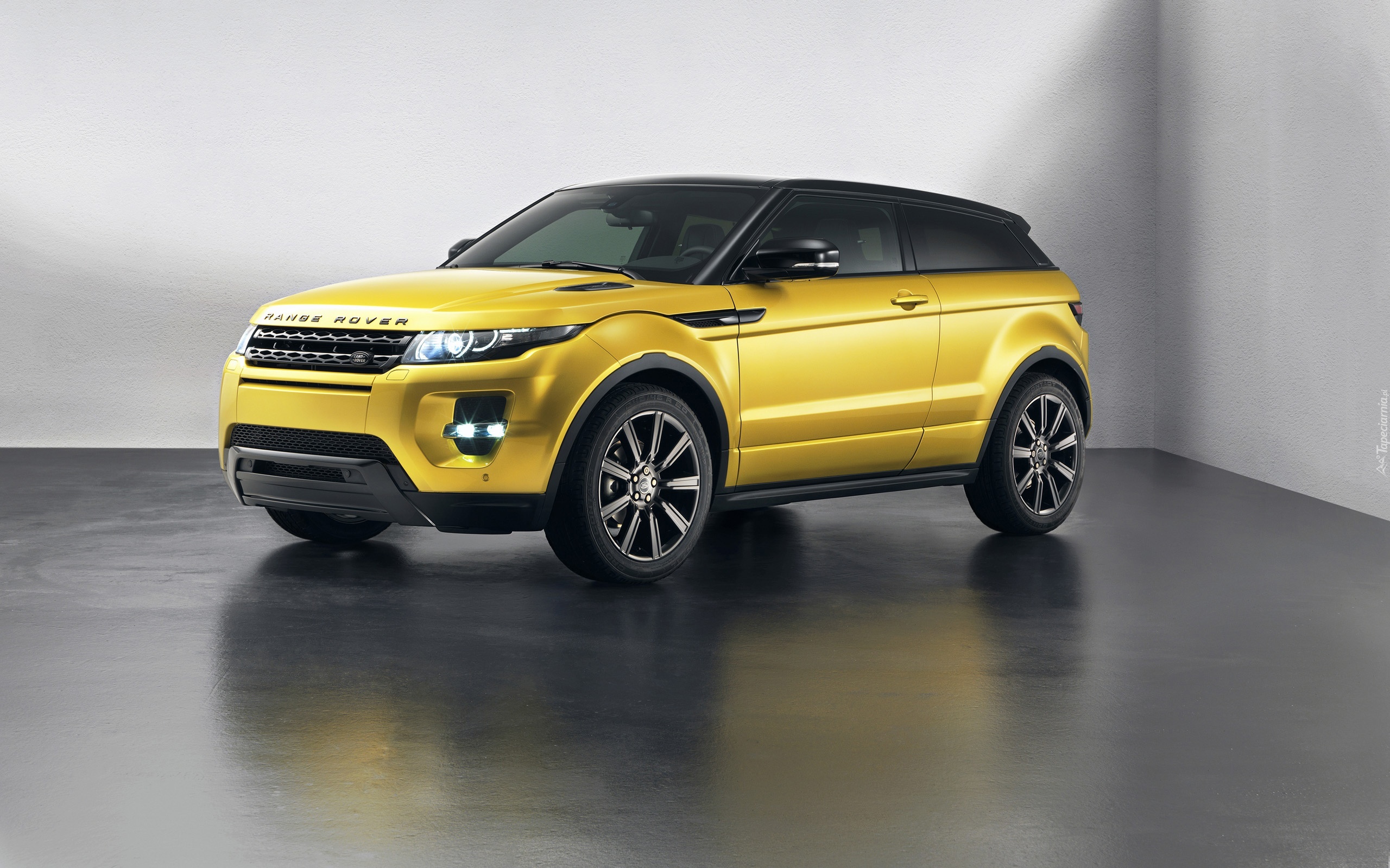 Evoque