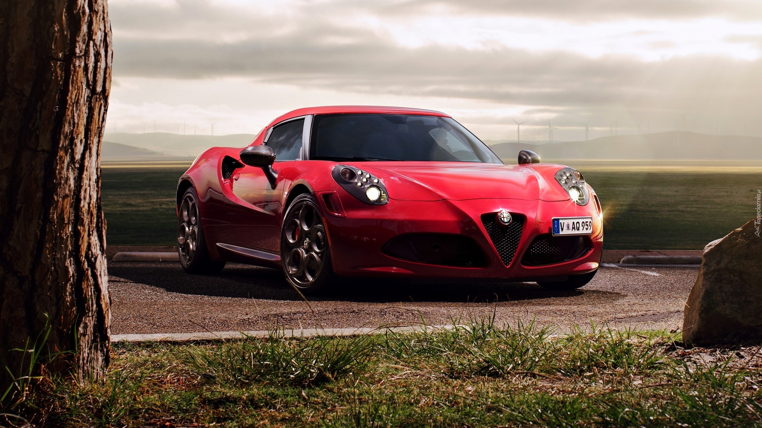 Alfa Romeo, 4C, Czerwony