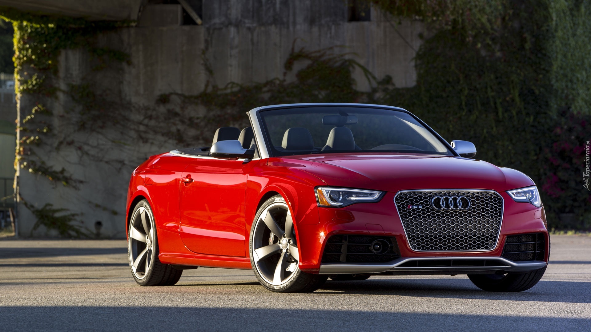 Audi, Czerwone, RS5