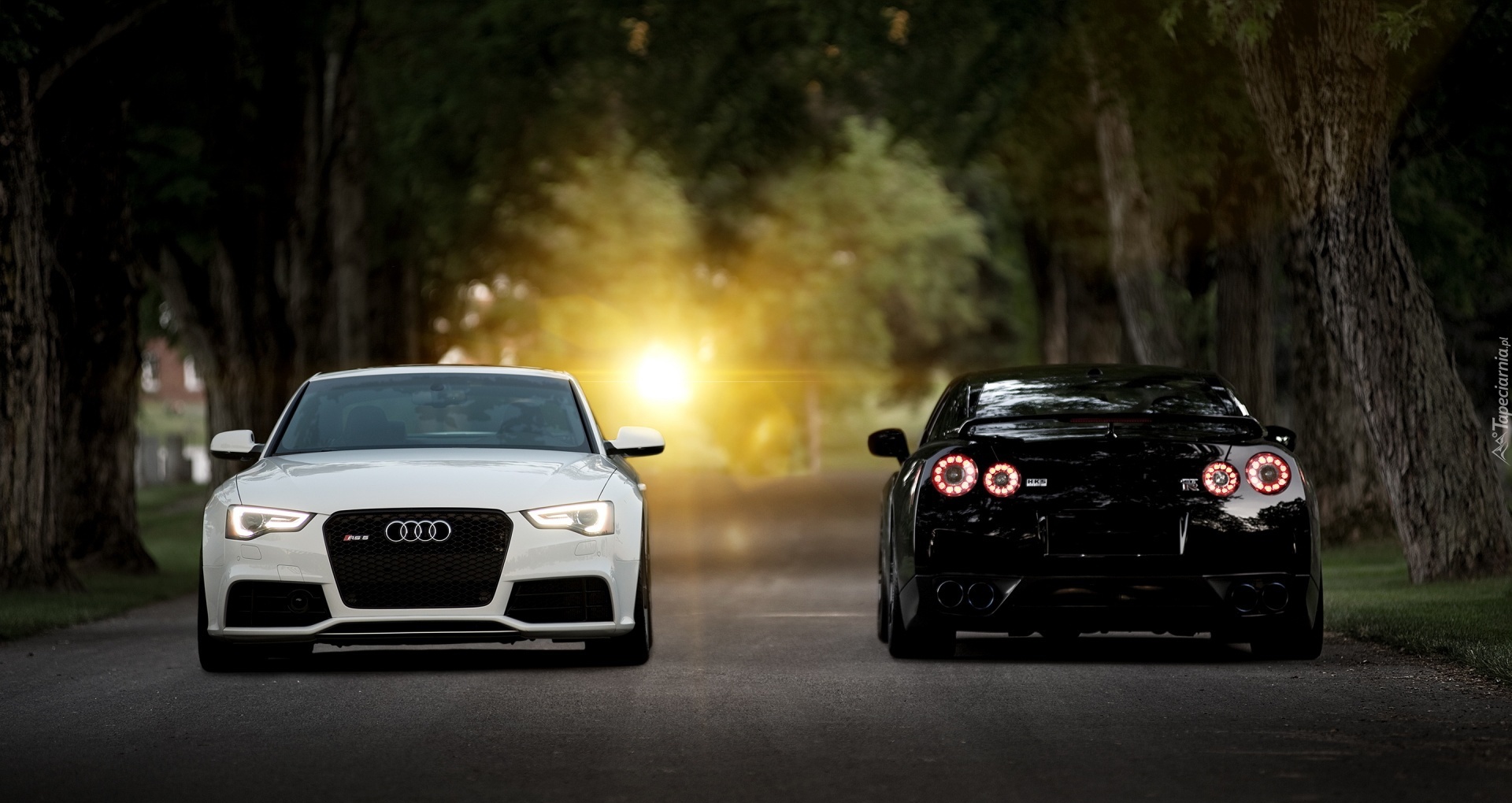 Audi RS, Nissan GTR