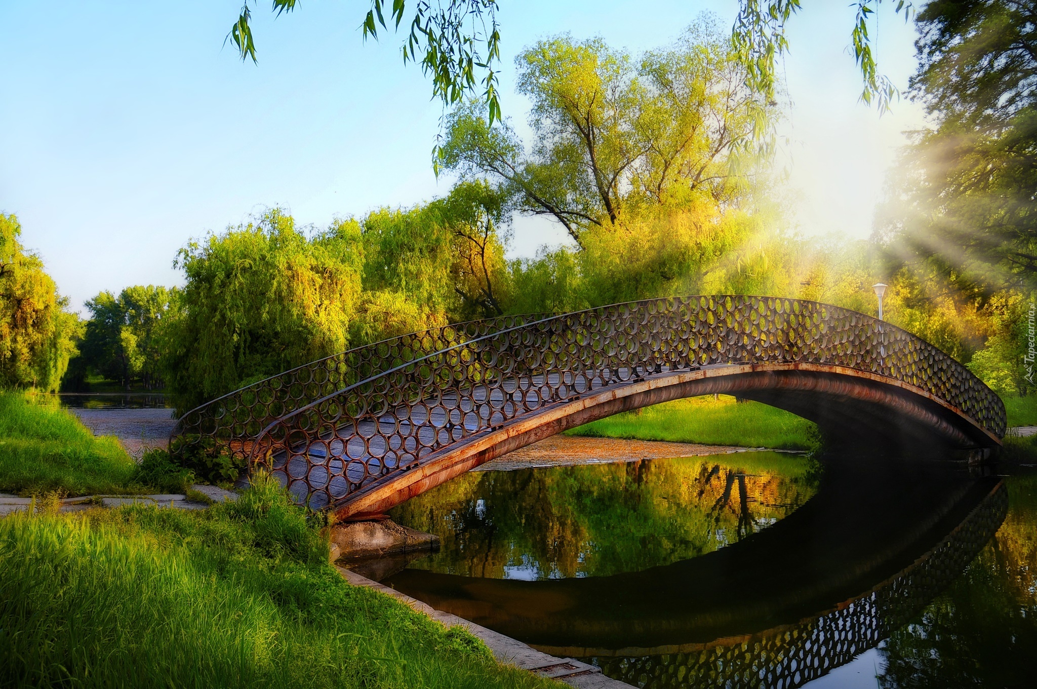 Park, Rzeka, Most, Drzewa, Promienie Słońca