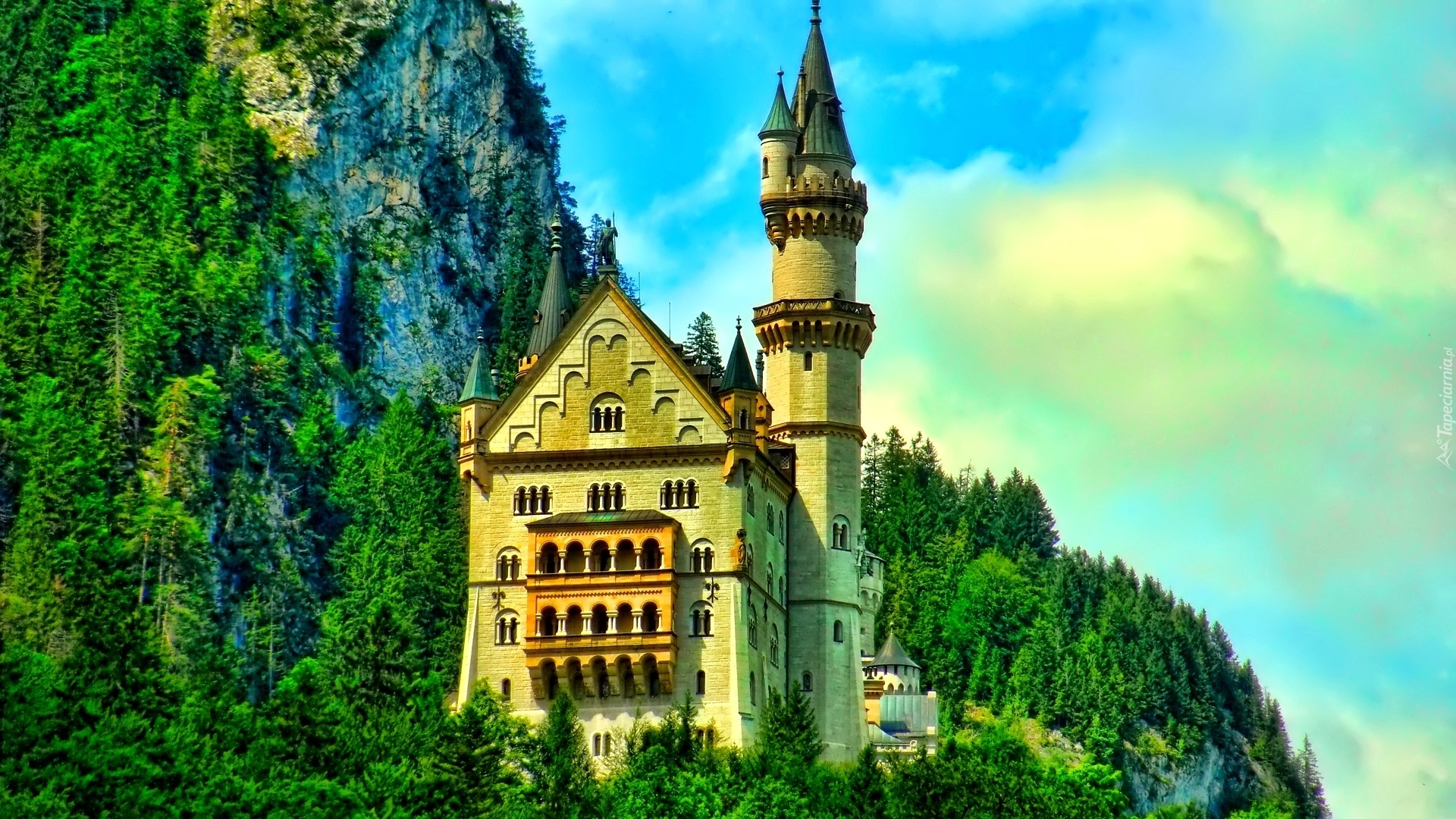 Zamek Neuschwanstein, Bawaria, Niemcy, Góry, Lasy