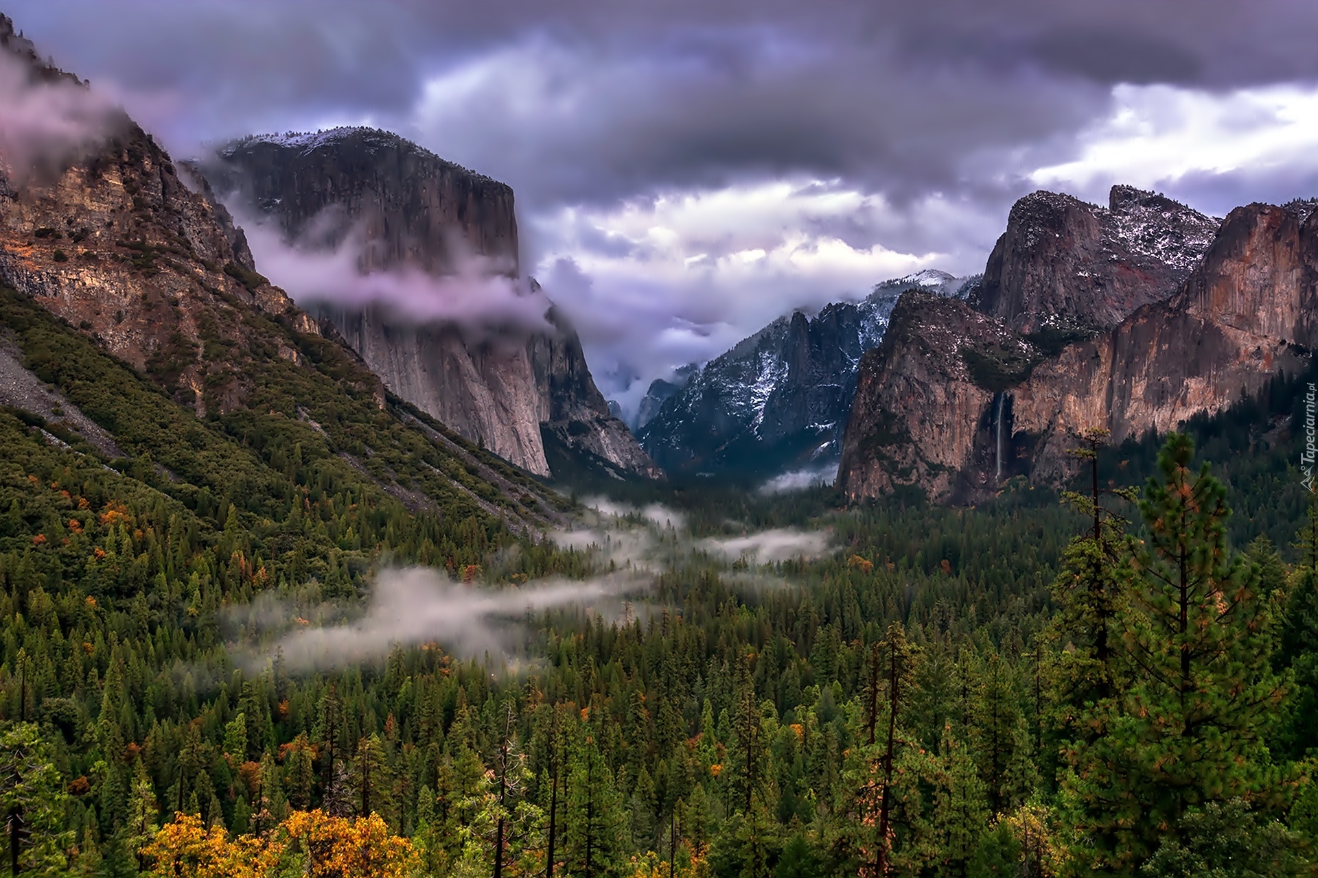 Stany Zjednoczone, Stan Kalifornia, Park Narodowy Yosemite, Góry, Lasy, Chmury