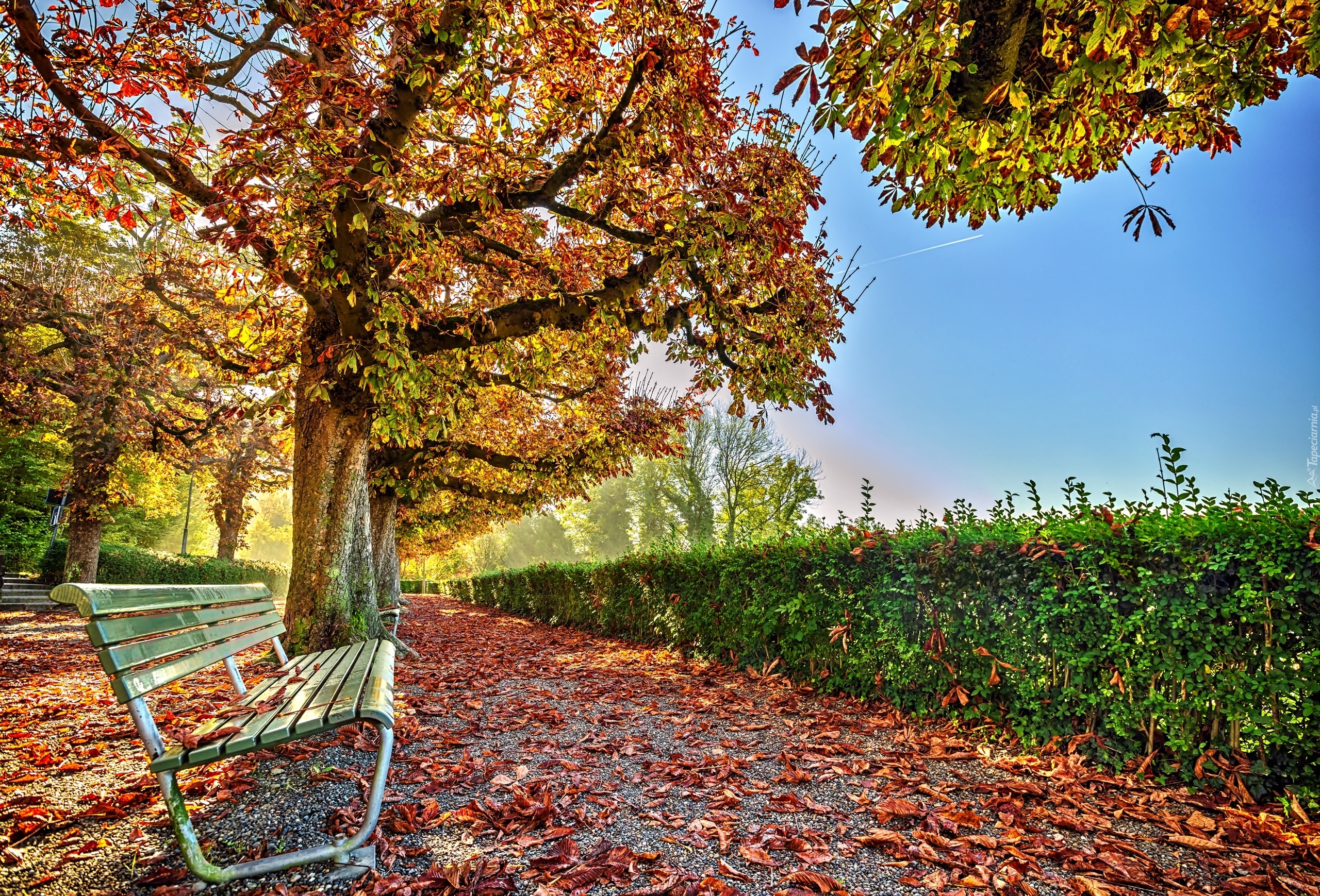 Jesień, Park, Alejka, Ławka, Liście