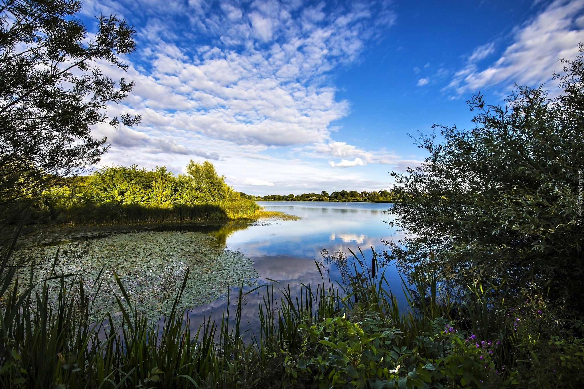 Rzeka Great Ouse, Cambridgeshire, Anglia