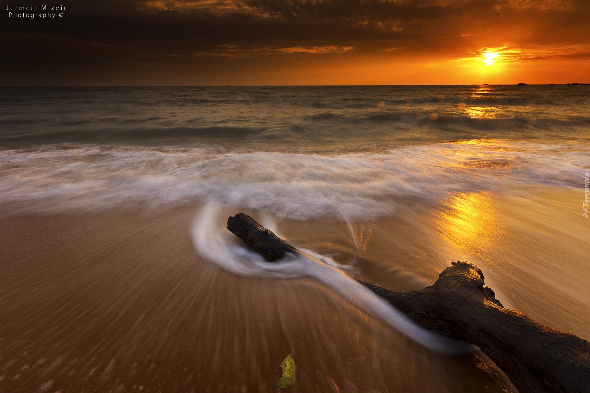 Zachód Słońca, Morze, Plaża, Konar
