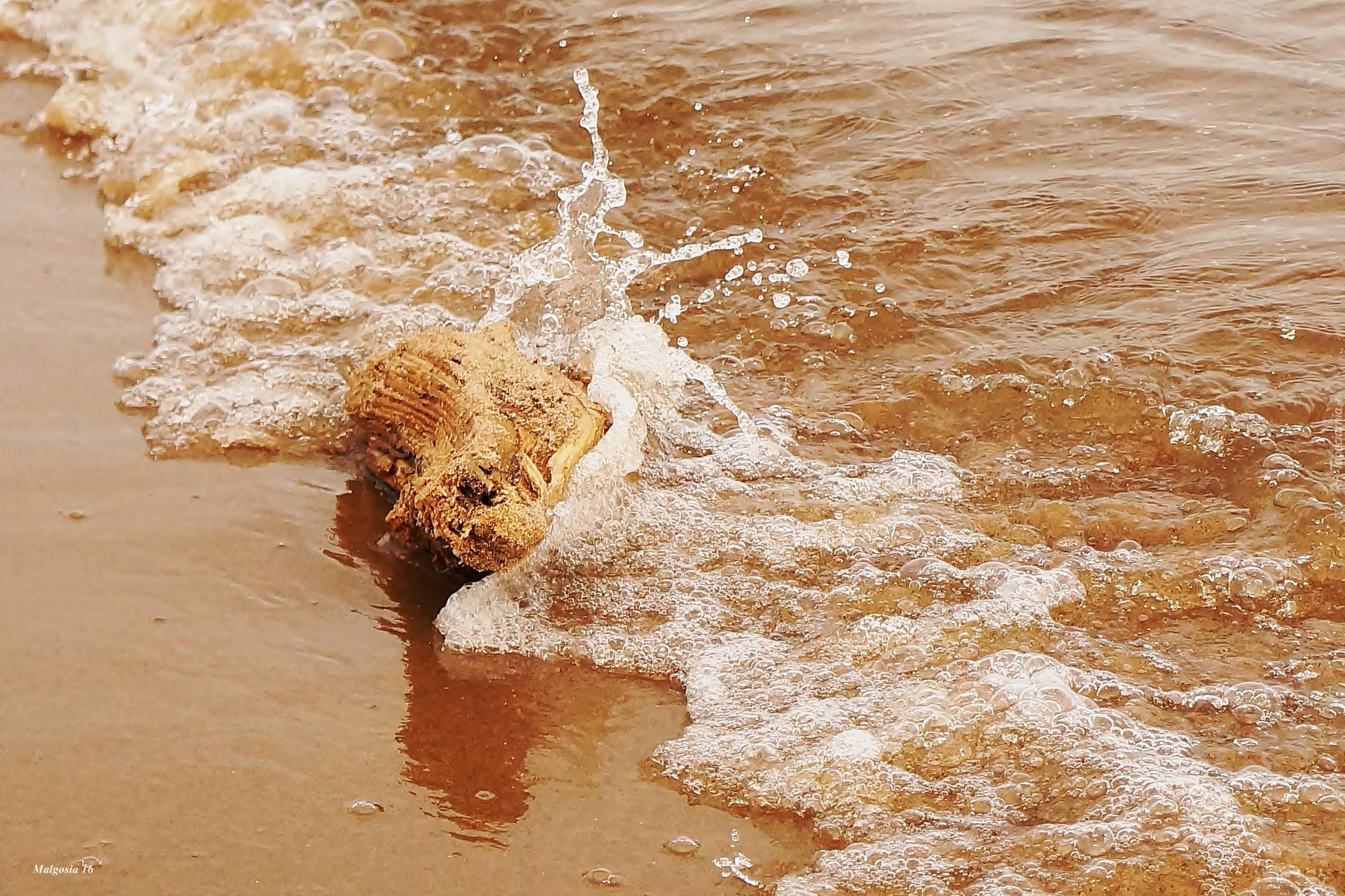 Morze, Fala, Plaża