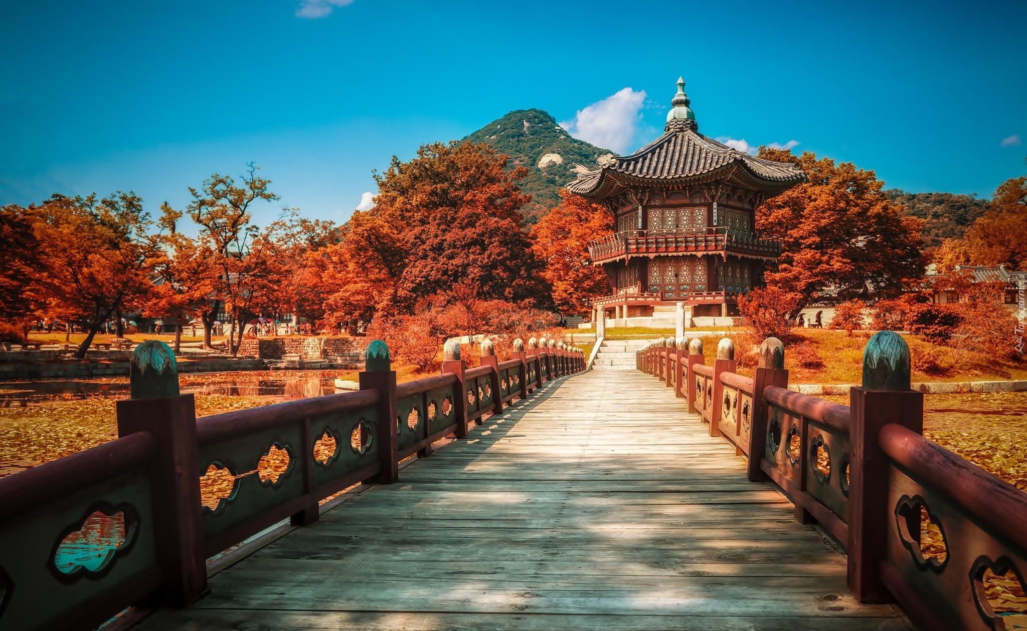Pałac, Most, Góra, Rzeka, Seul, Korea, Południowa, Jesień