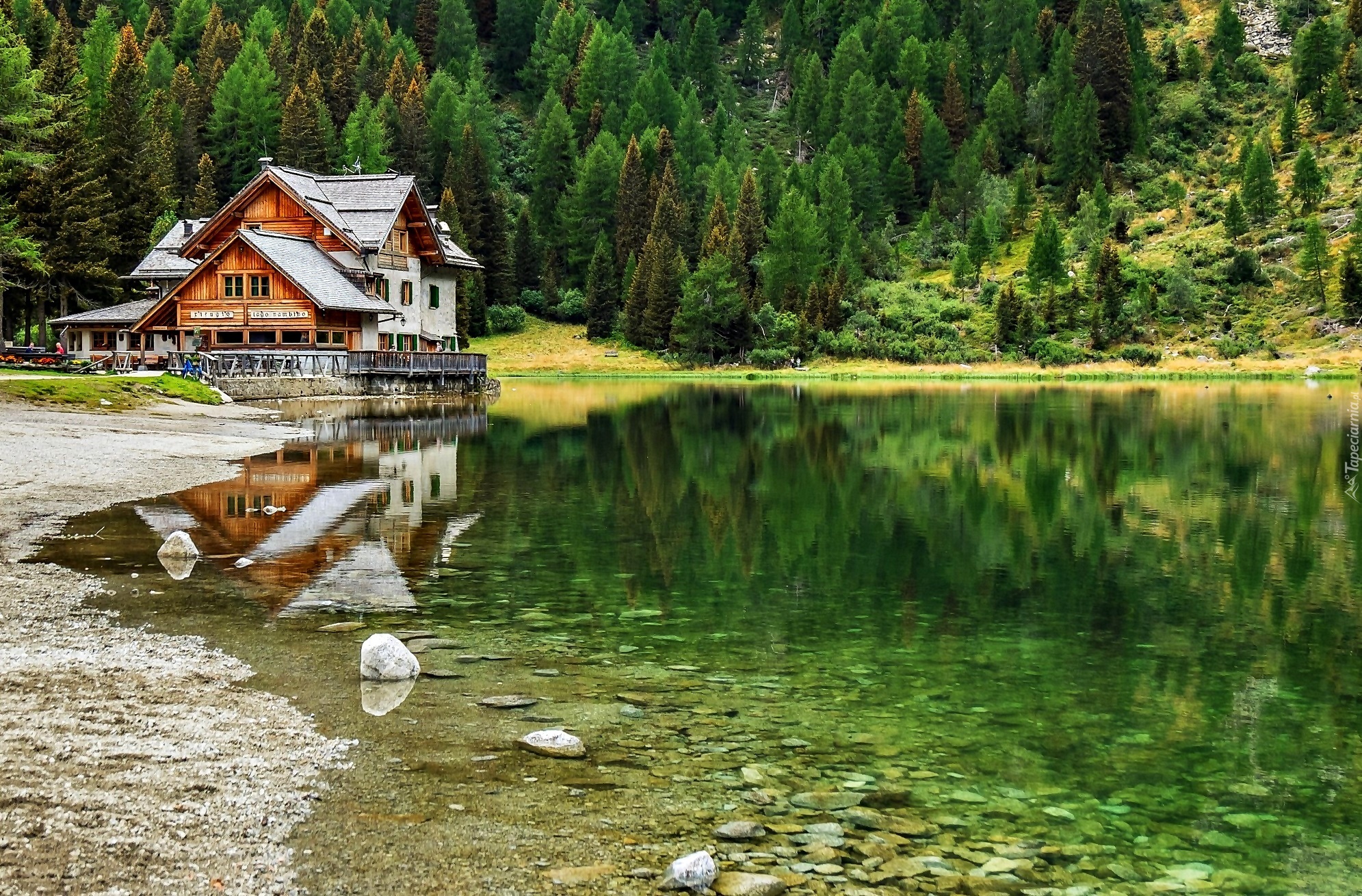 Jezioro, Las, Restauracja, Dom