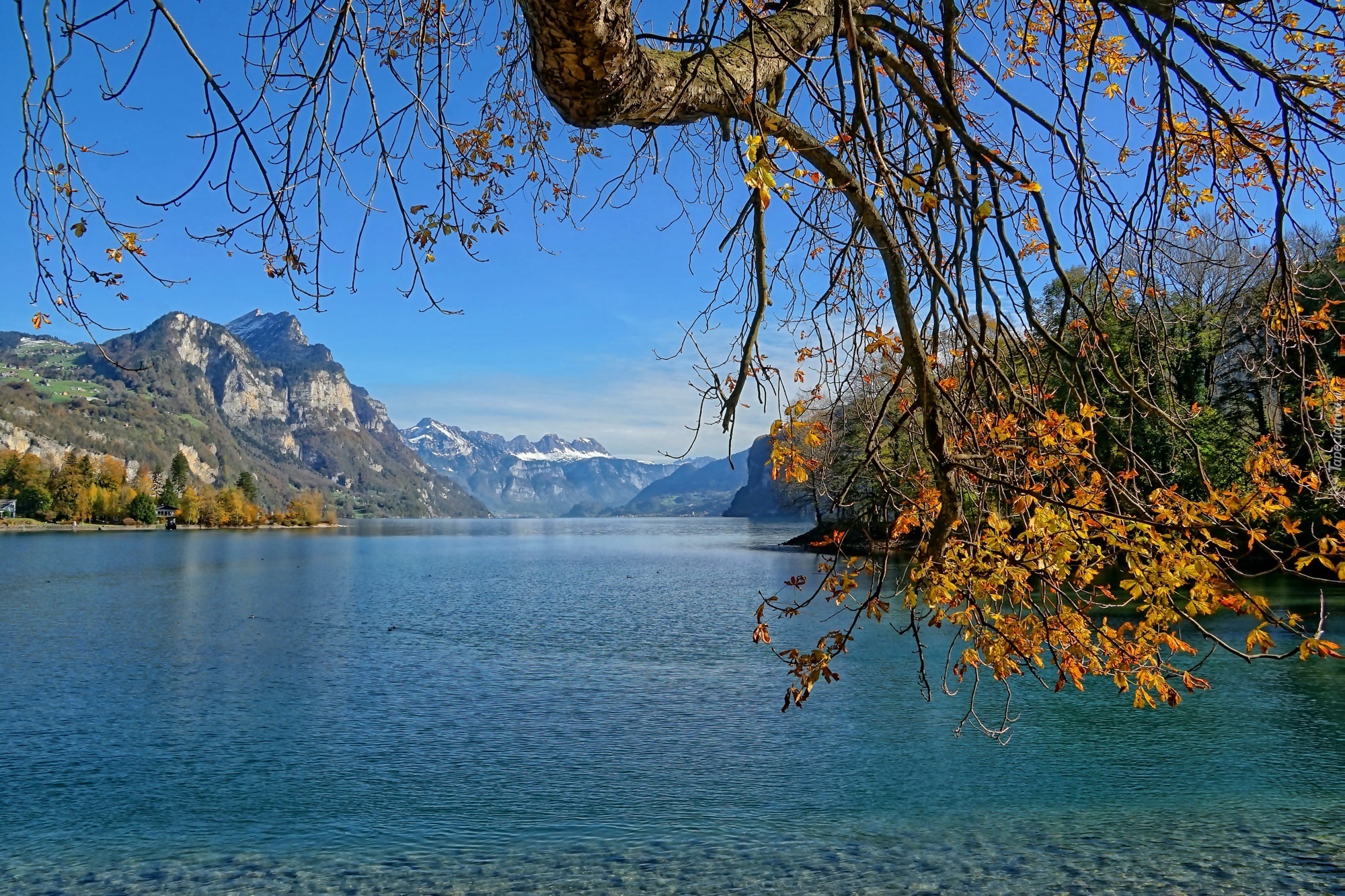 Jezioro, Góry, Drzewo, Jesień
