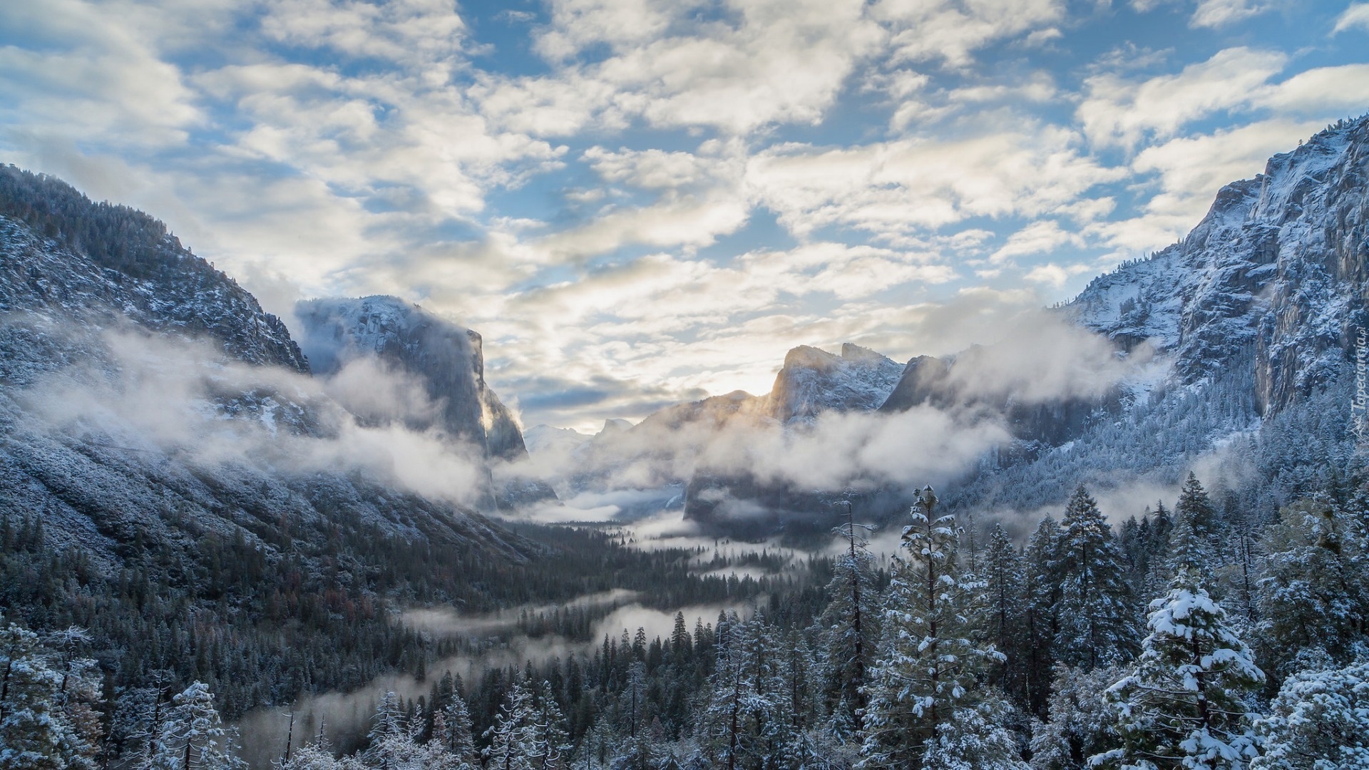 Stany Zjednoczone, Stan Kalifornia, Park Narodowy Yosemite, Góry, Drzewa