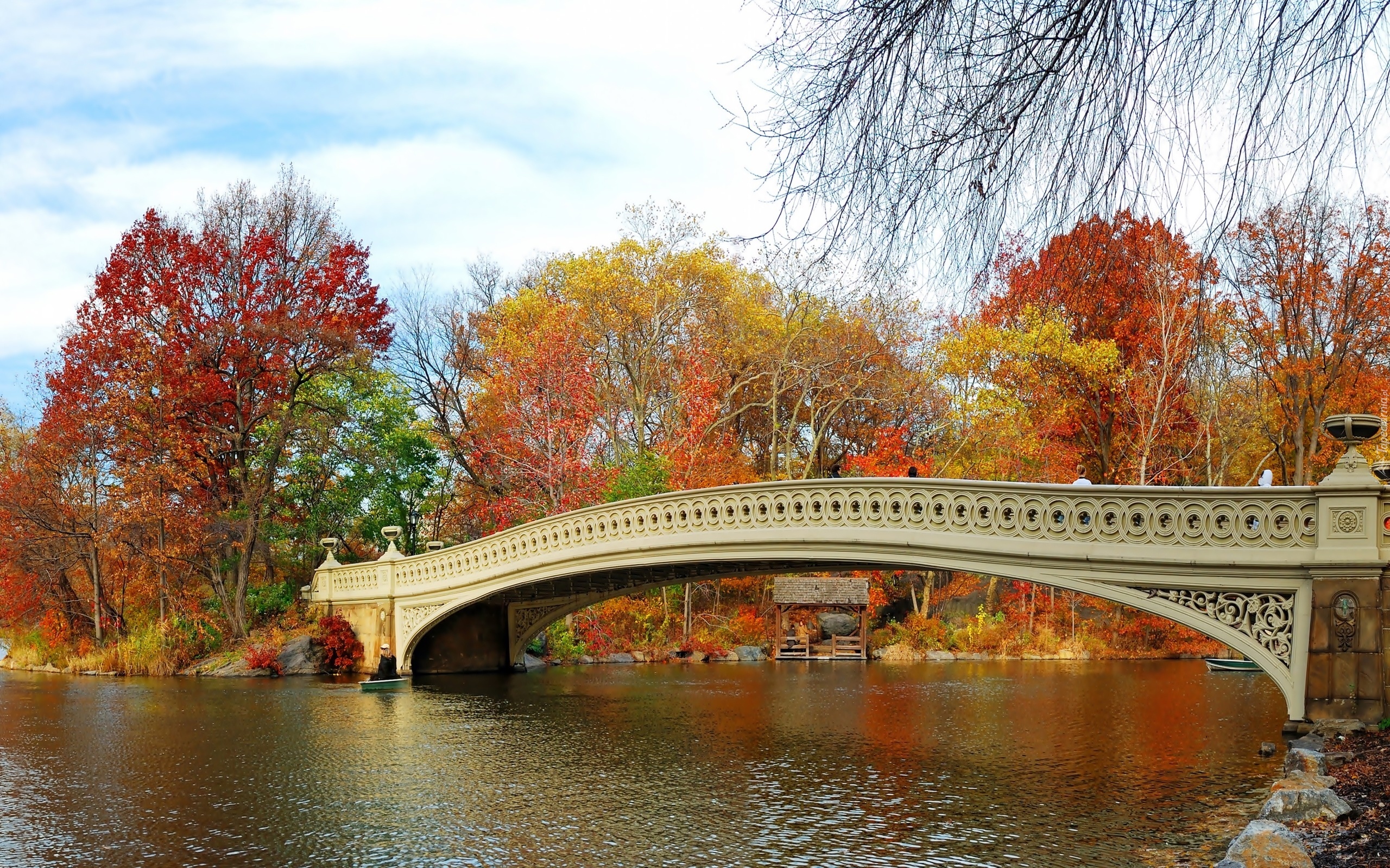 Most, Drzewa, Central, Park, Jesień, Nowy, Jork