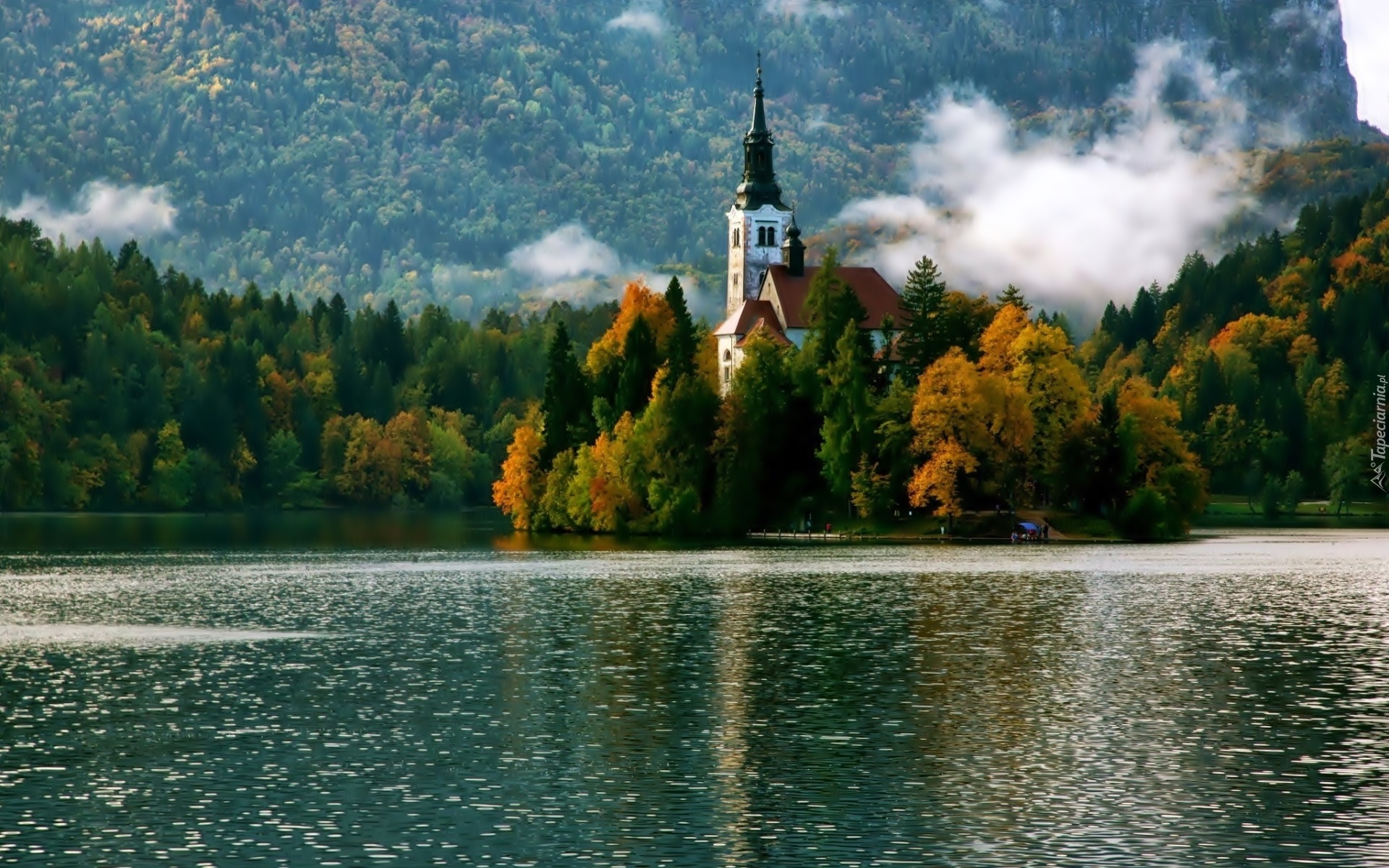Jezioro, Bled, Las, Mgła,  Kościół, Jesień, Słowenia