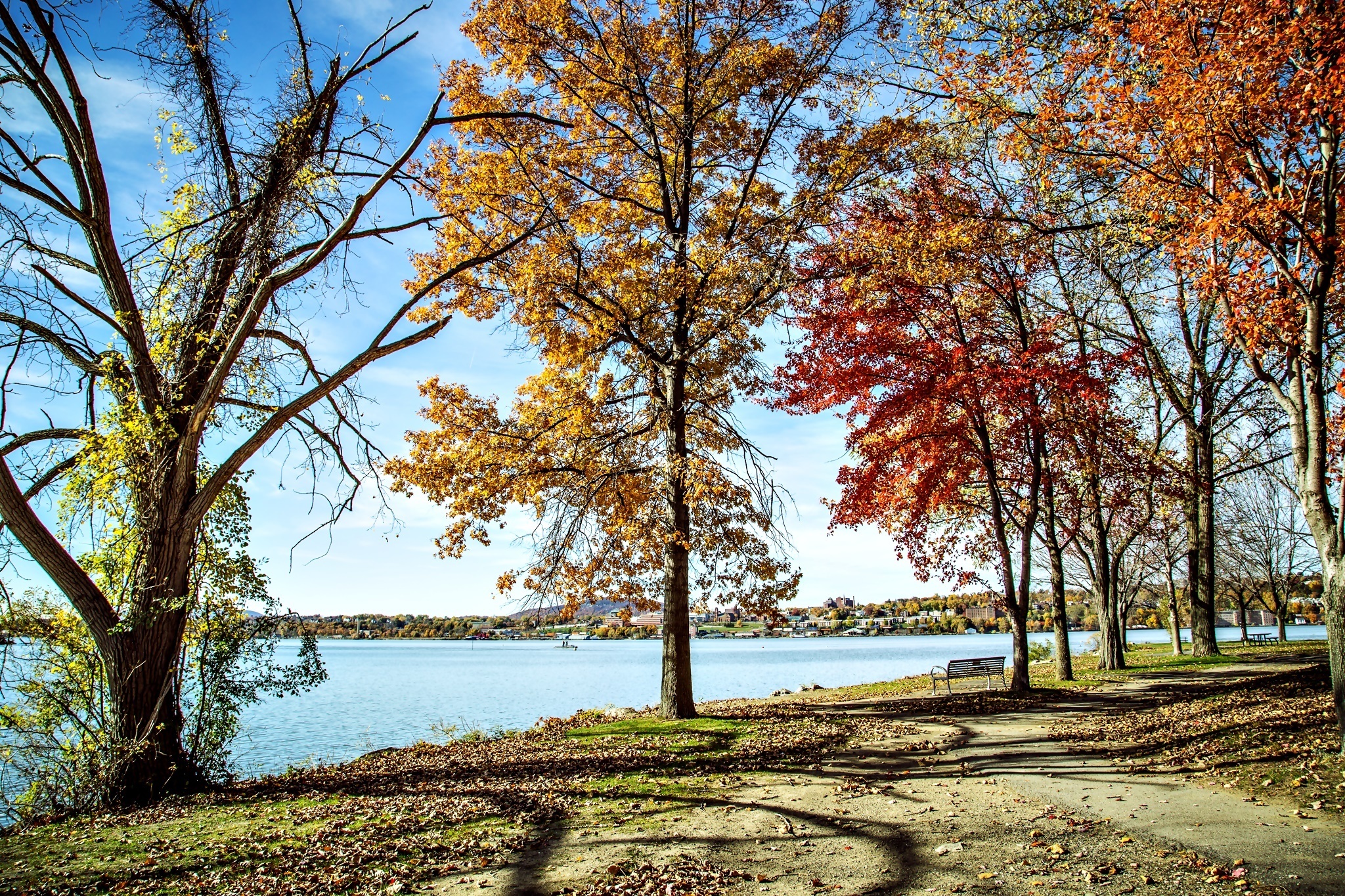 Jesień, Park, Kolorowe Drzewa, Jezioro, Krajobraz