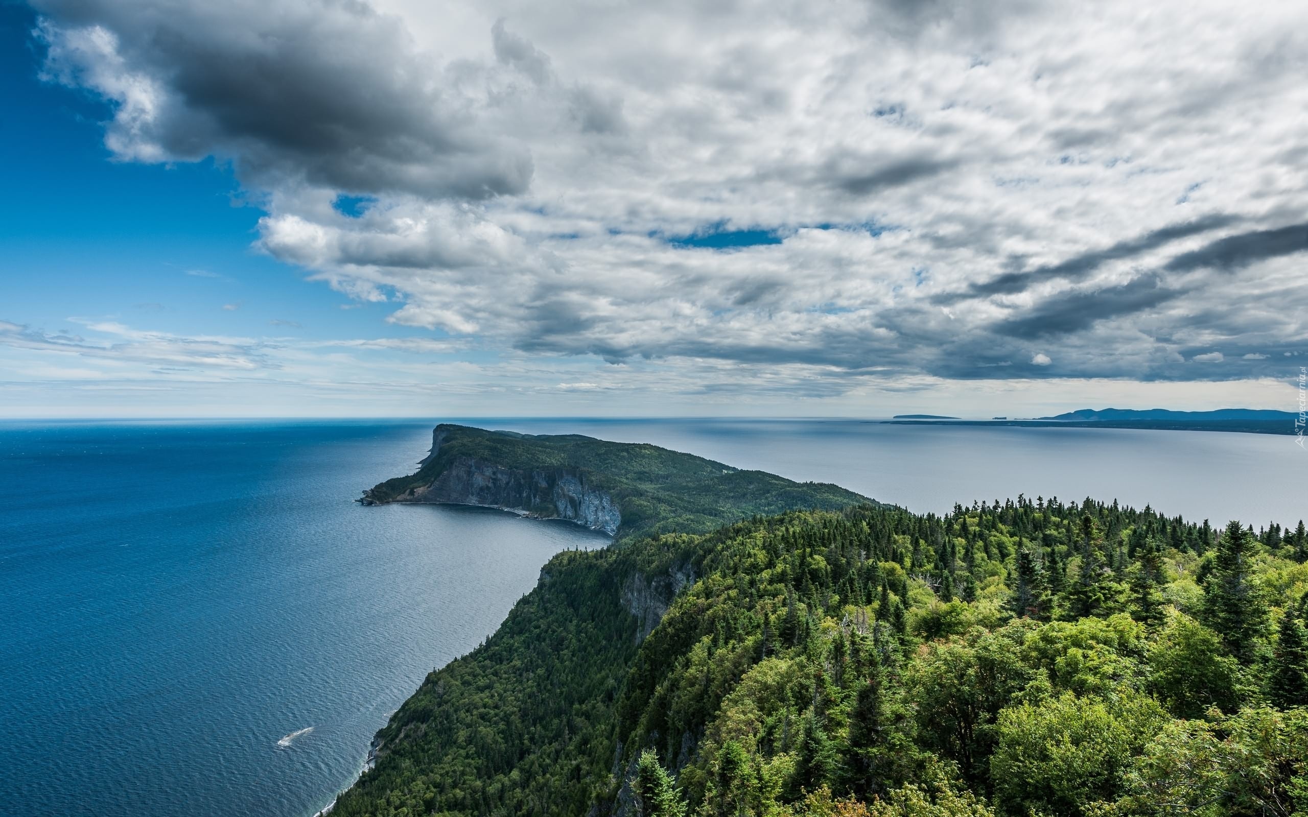 Zalesione, Wybrzeże, Półwysep, Pochmurne, Niebo