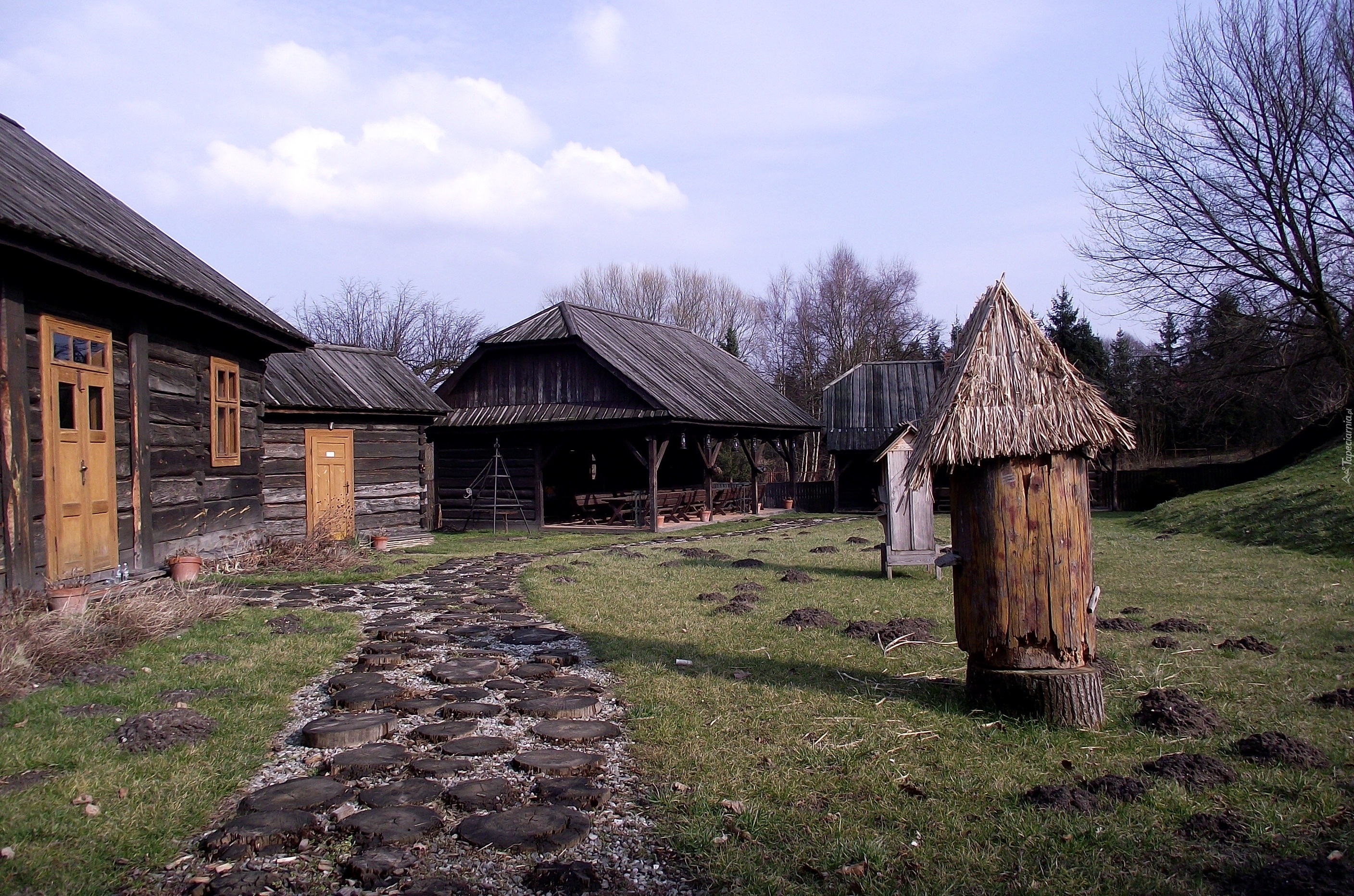 Drewniane domy, Skansen, Wieś