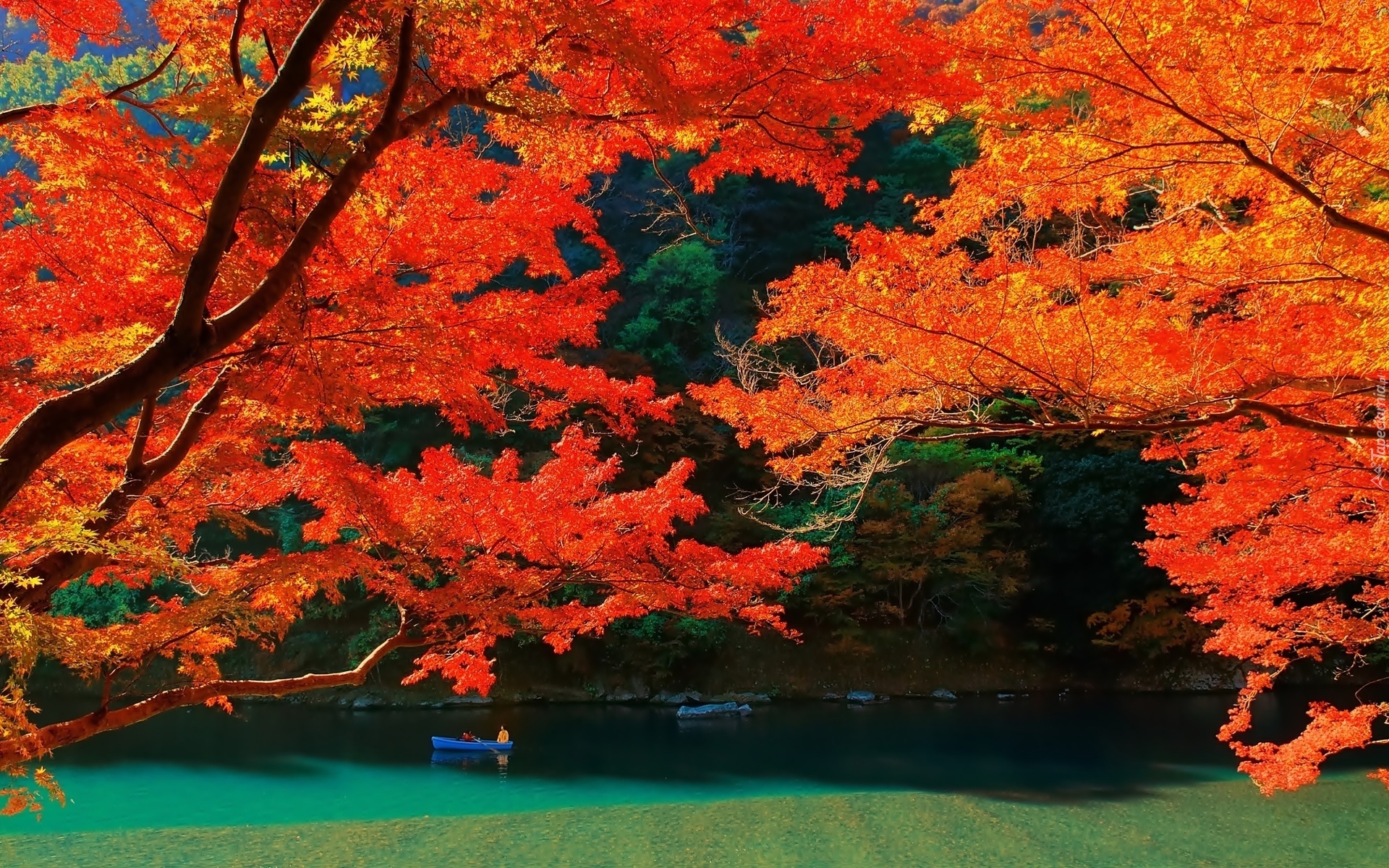 Jezioro, Góry, Lasy, Drzewa, Łódka, Kolory, Jesieni, Kioto, Wyspa, Japonia