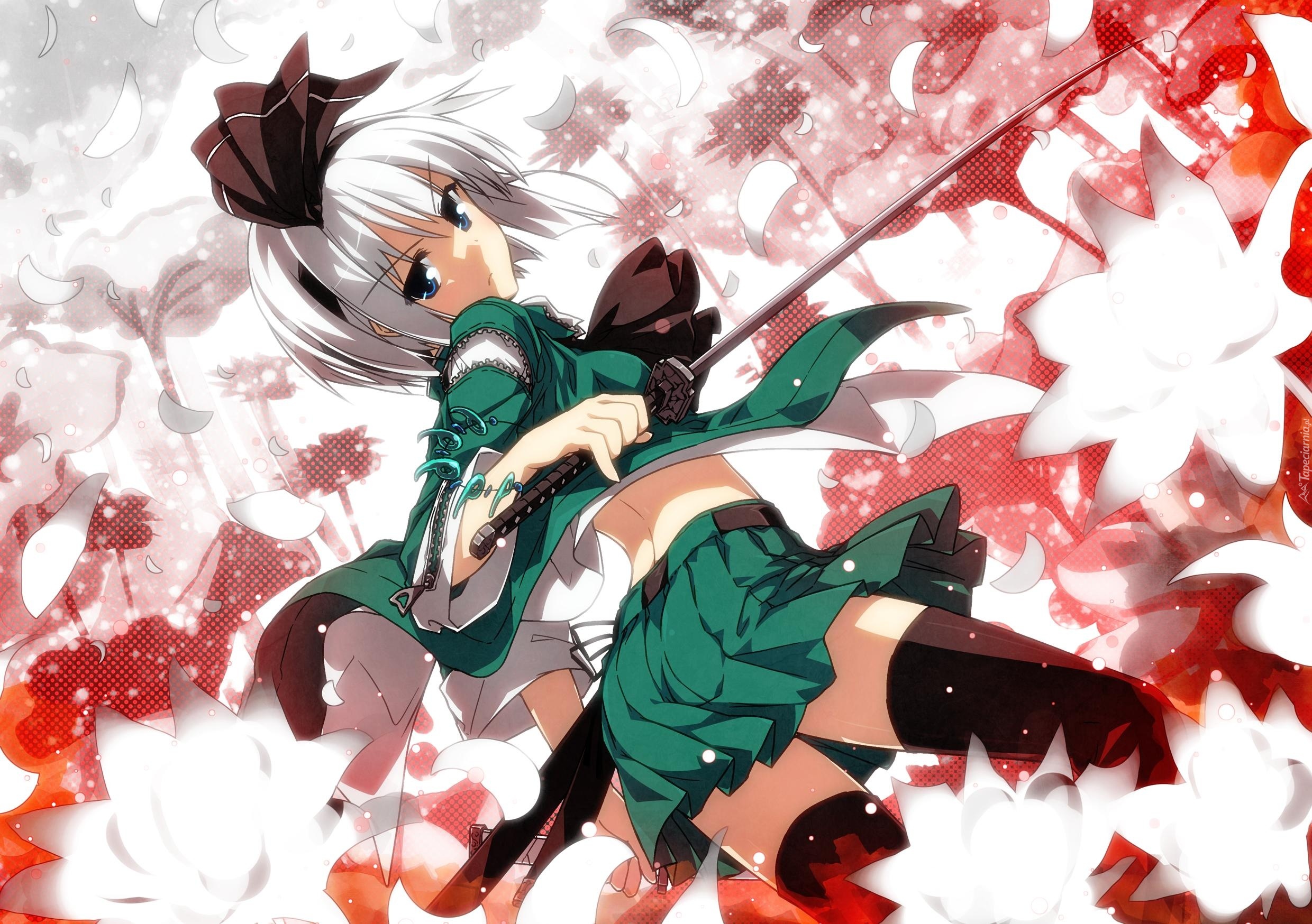 Touhou, Konpaku Youmu