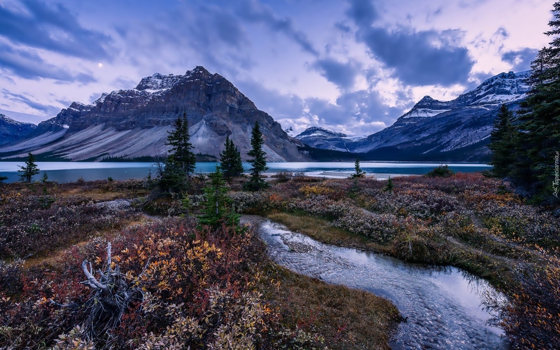 Kanada, Park Narodowy Banff, Góry, Jezioro Bow Lake, Drzewa