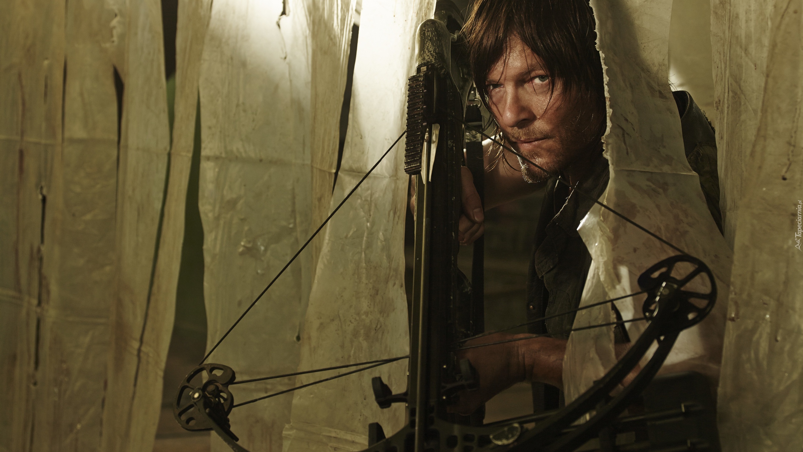 Aktor, Norman Reedus, Serial, The Walking Dead, Żywe trupy