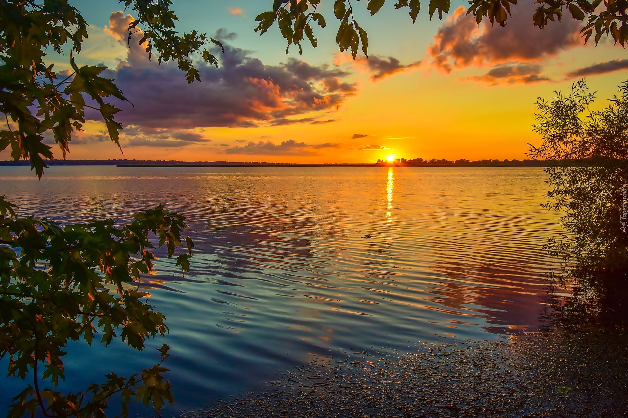 Jezioro, Zachód Słońca, Drzewo, Liście