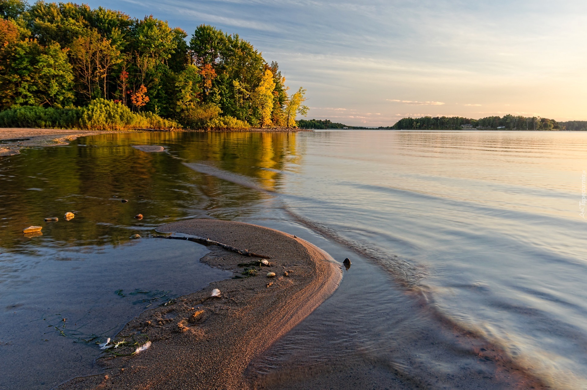 Jezioro, Brzeg, Las, Jesień