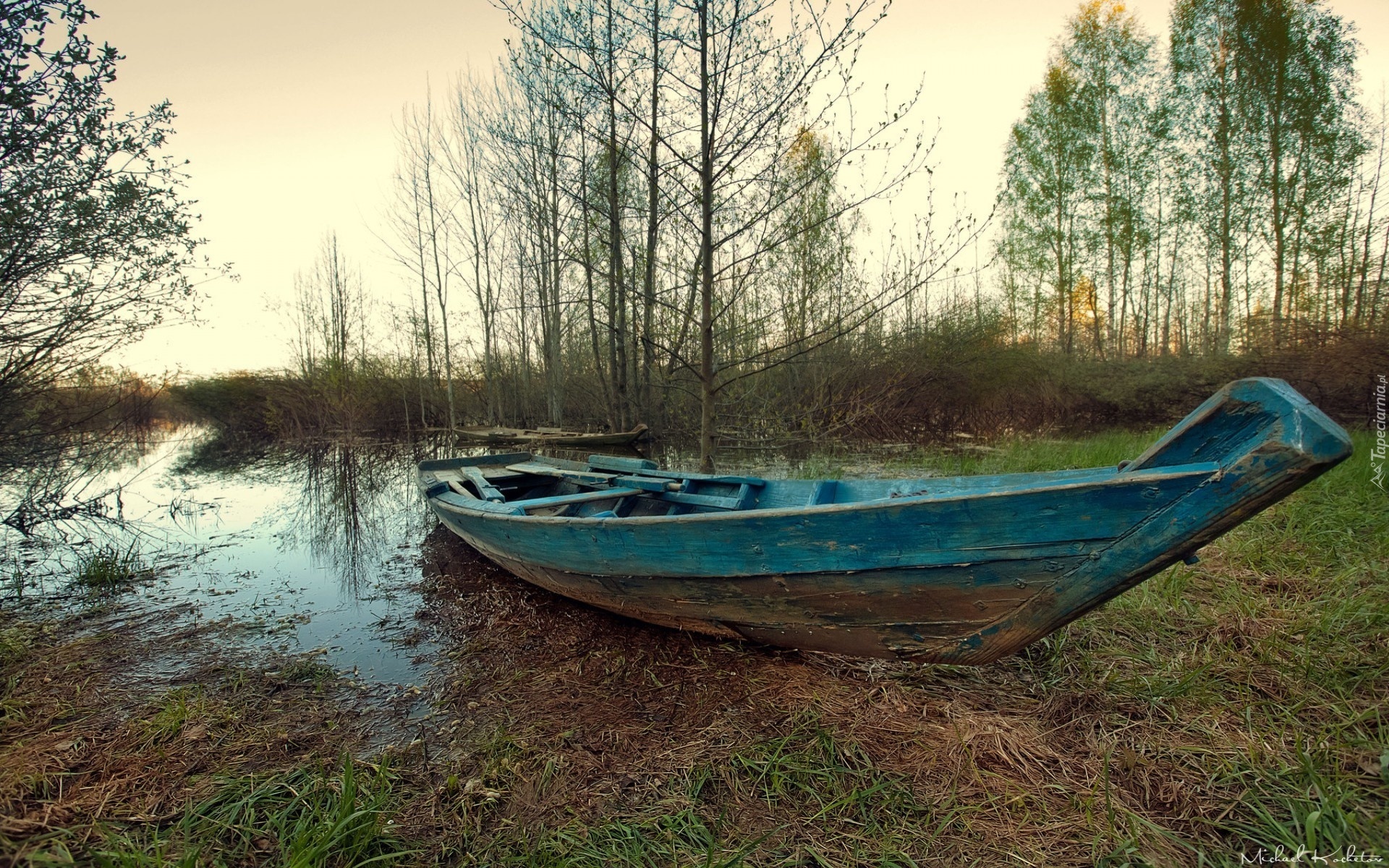 Bagno, Łódź, Drzewa, Jesień