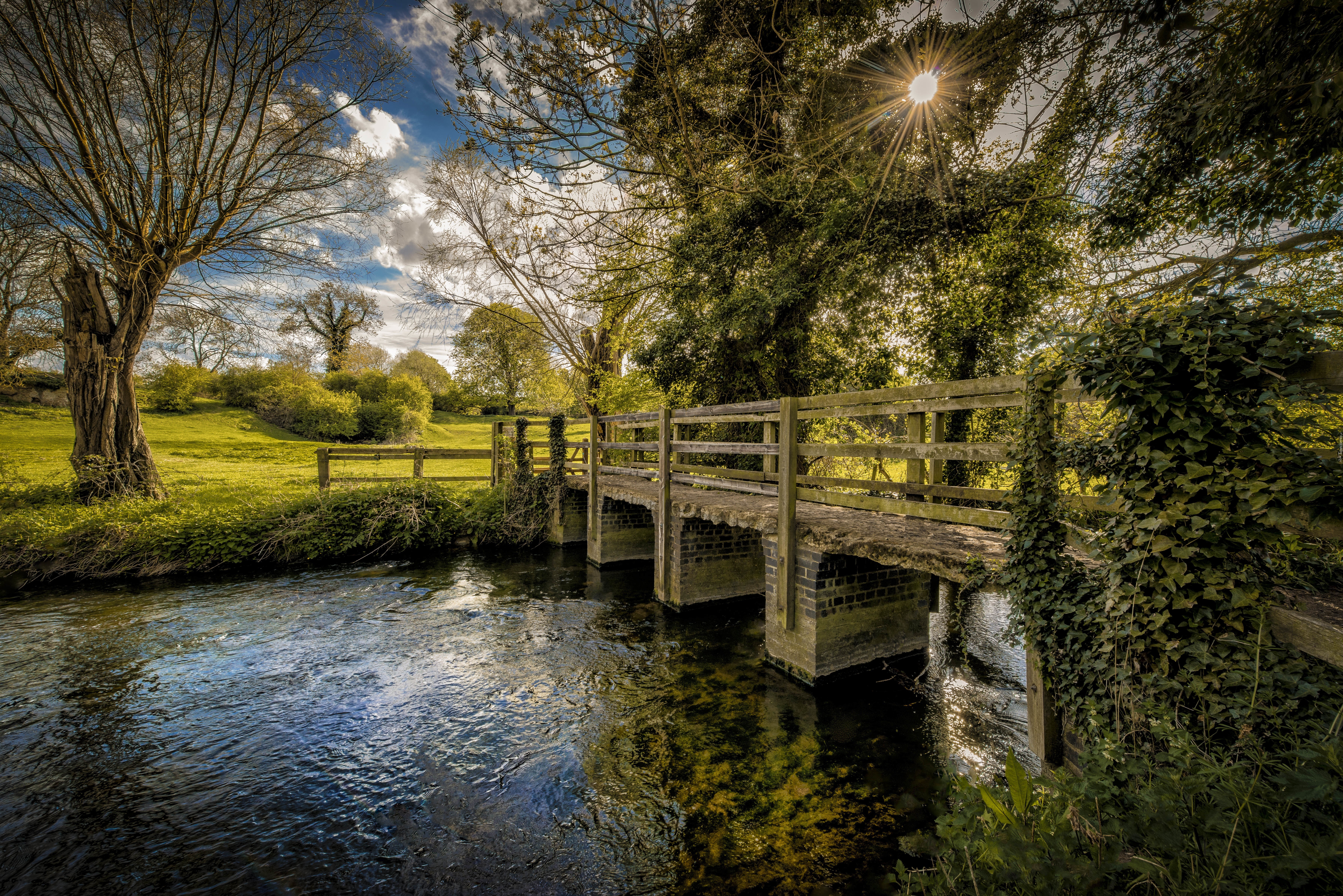 природа река мост деревья nature river the bridge trees без смс