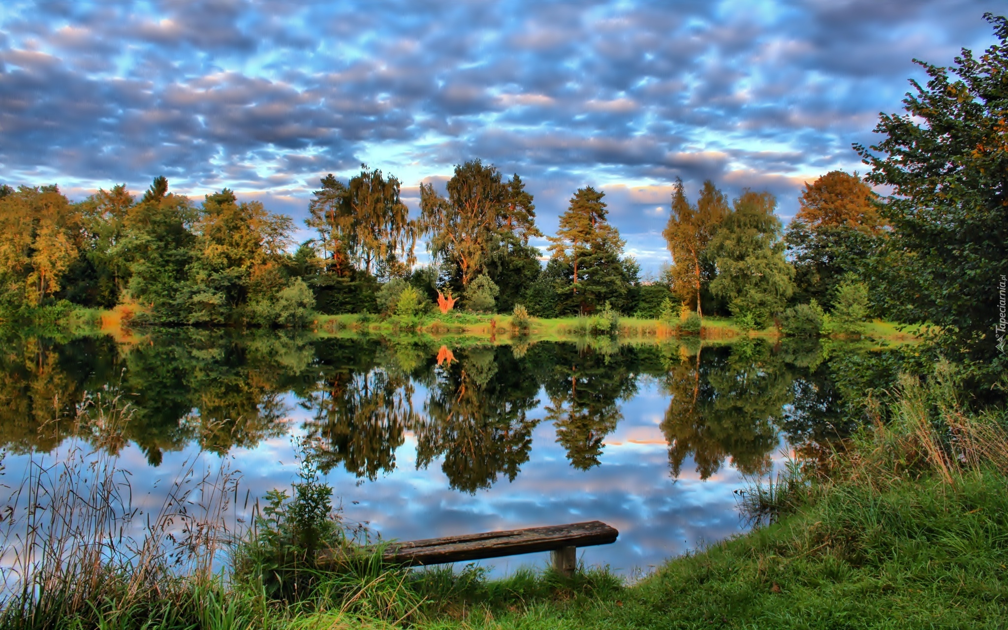 Las, Jezioro, Chmury, Ławka