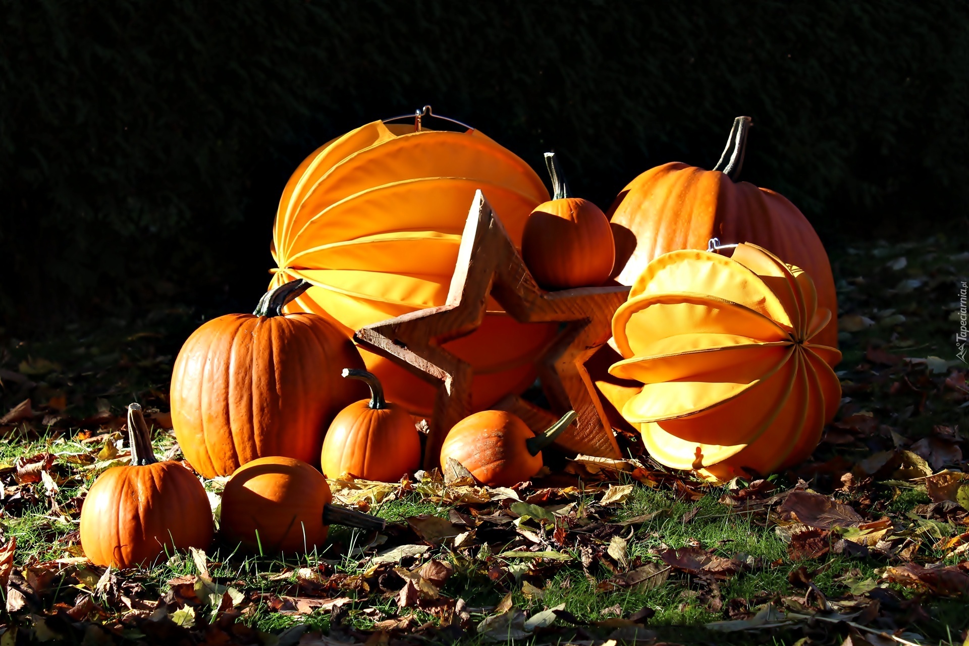 Halloween, Dynie, Liście, Gwiazda