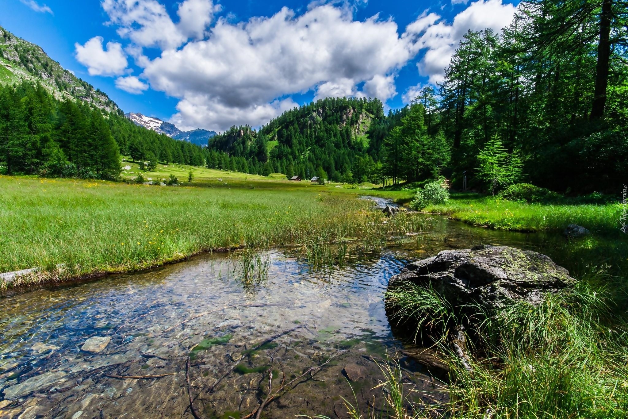 Góry, Lasy, Domy, Strumyk, Kamień, Łąka, Lato