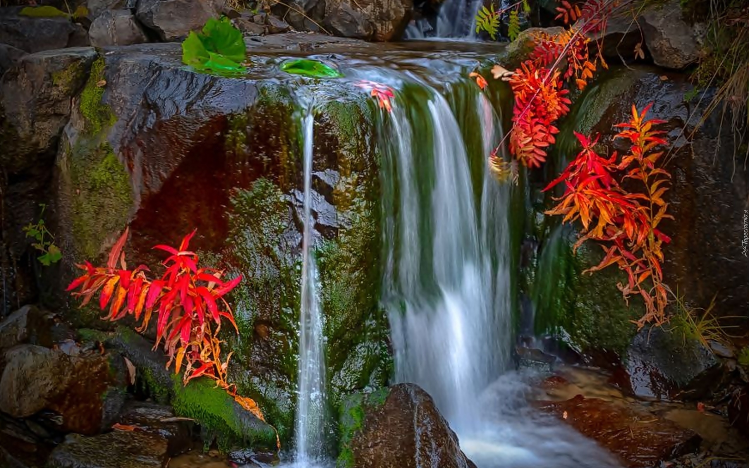 водопад осеь красные листья без смс