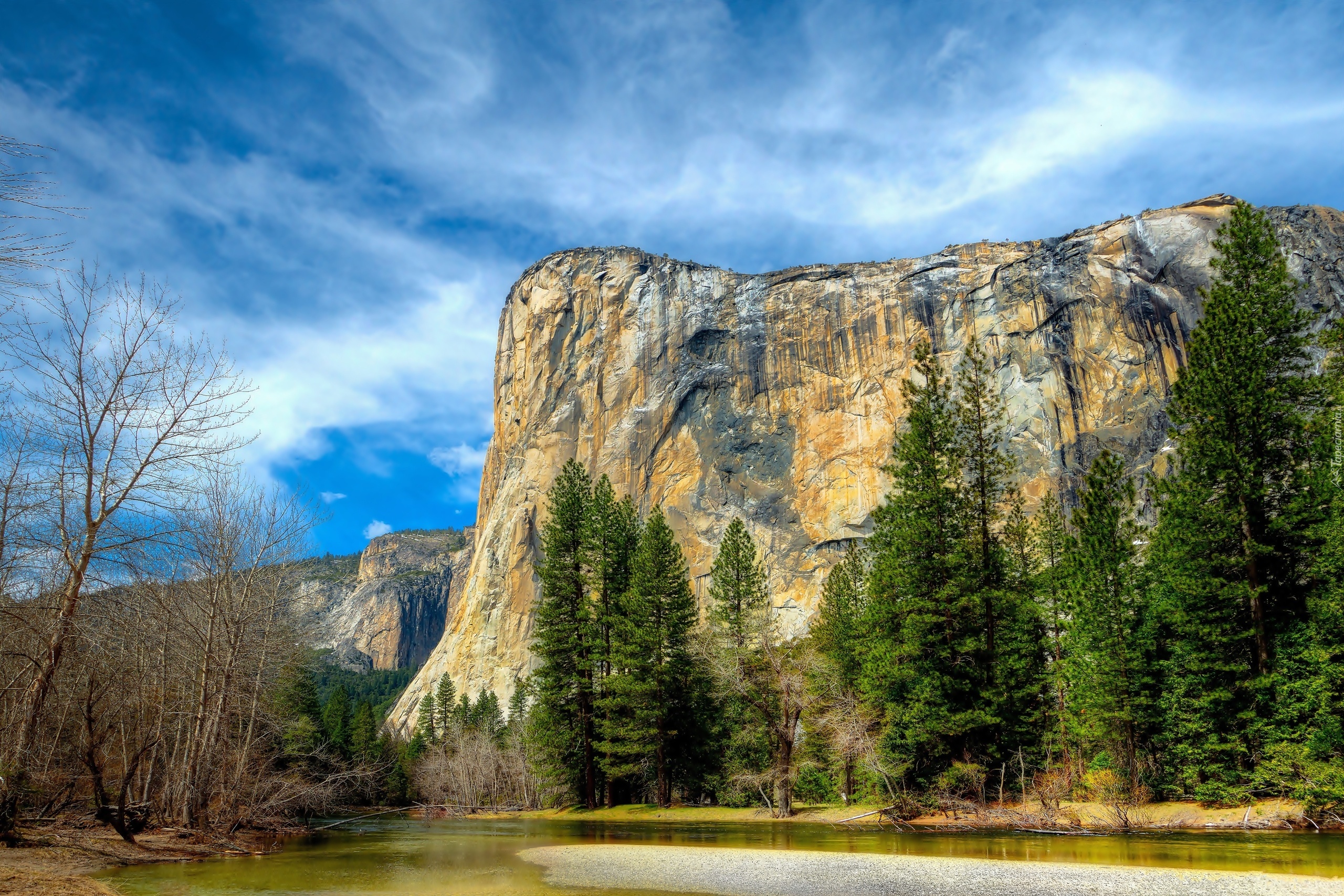 Stany Zjednoczone, Stan Kalifornia, Park Narodowy Yosemite, Góry, Drzewa