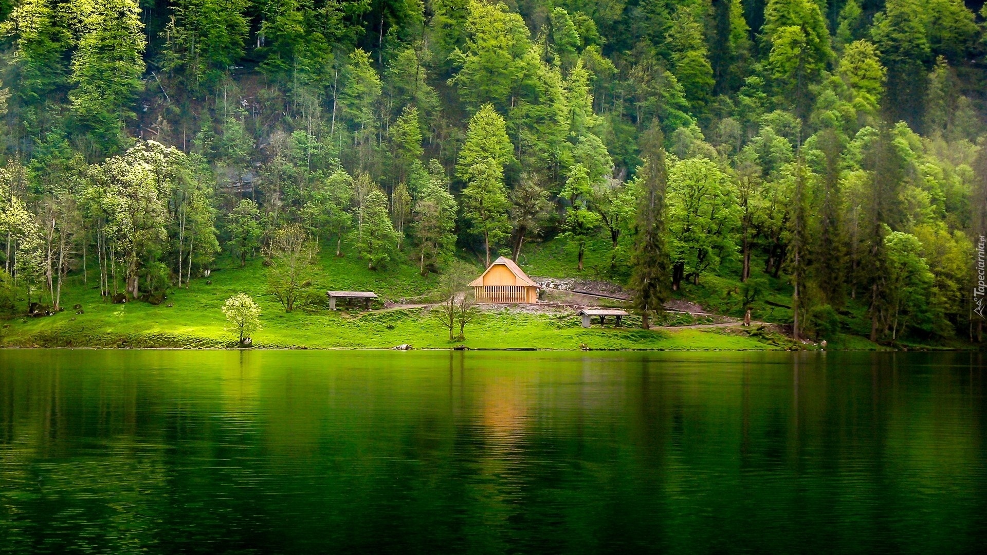 Zielone, Jezioro, Domek, Ławki, Las, Góra