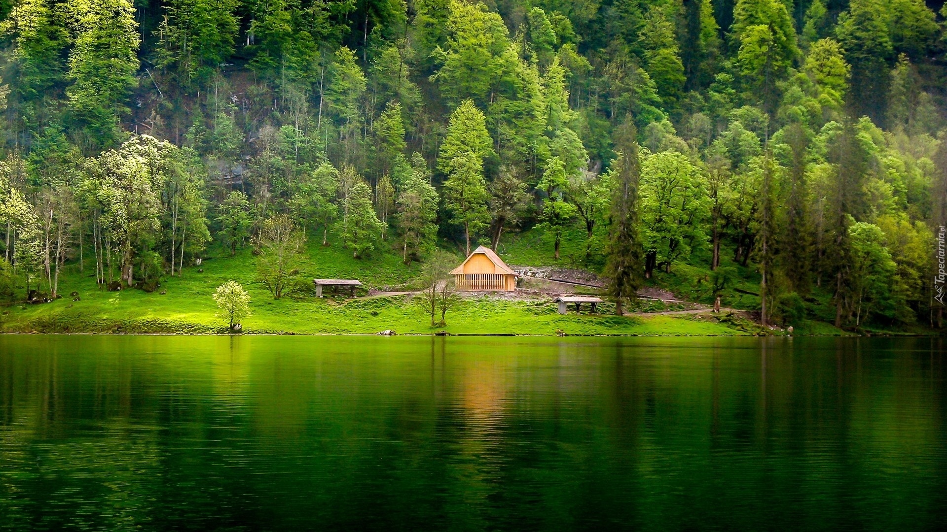 Zielone, Jezioro, Domek, Ławki, Las, Góra