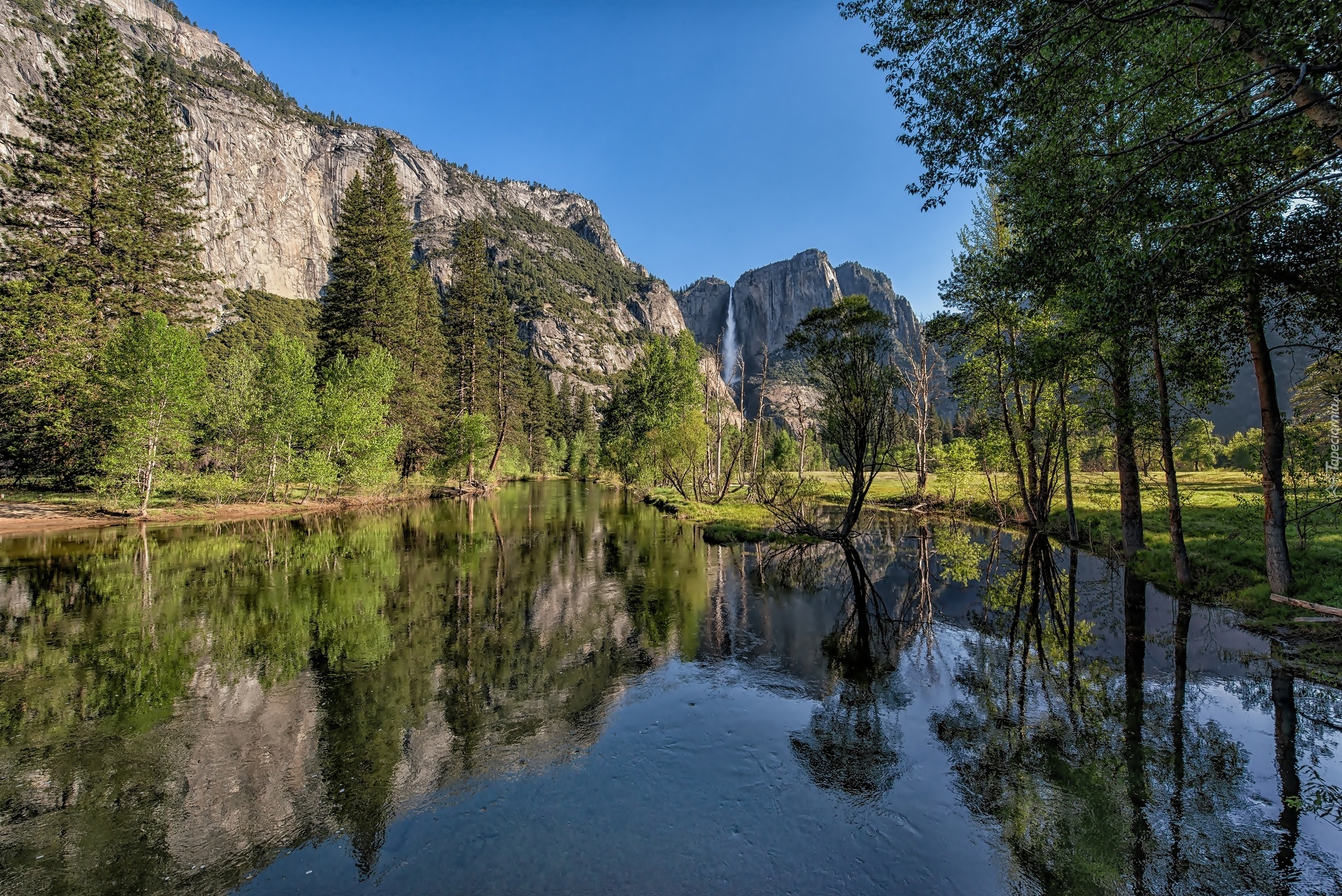 Stany Zjednoczone, Stan Kalifornia, Park Narodowy Yosemite, Drzewa, Rzeka, Góry