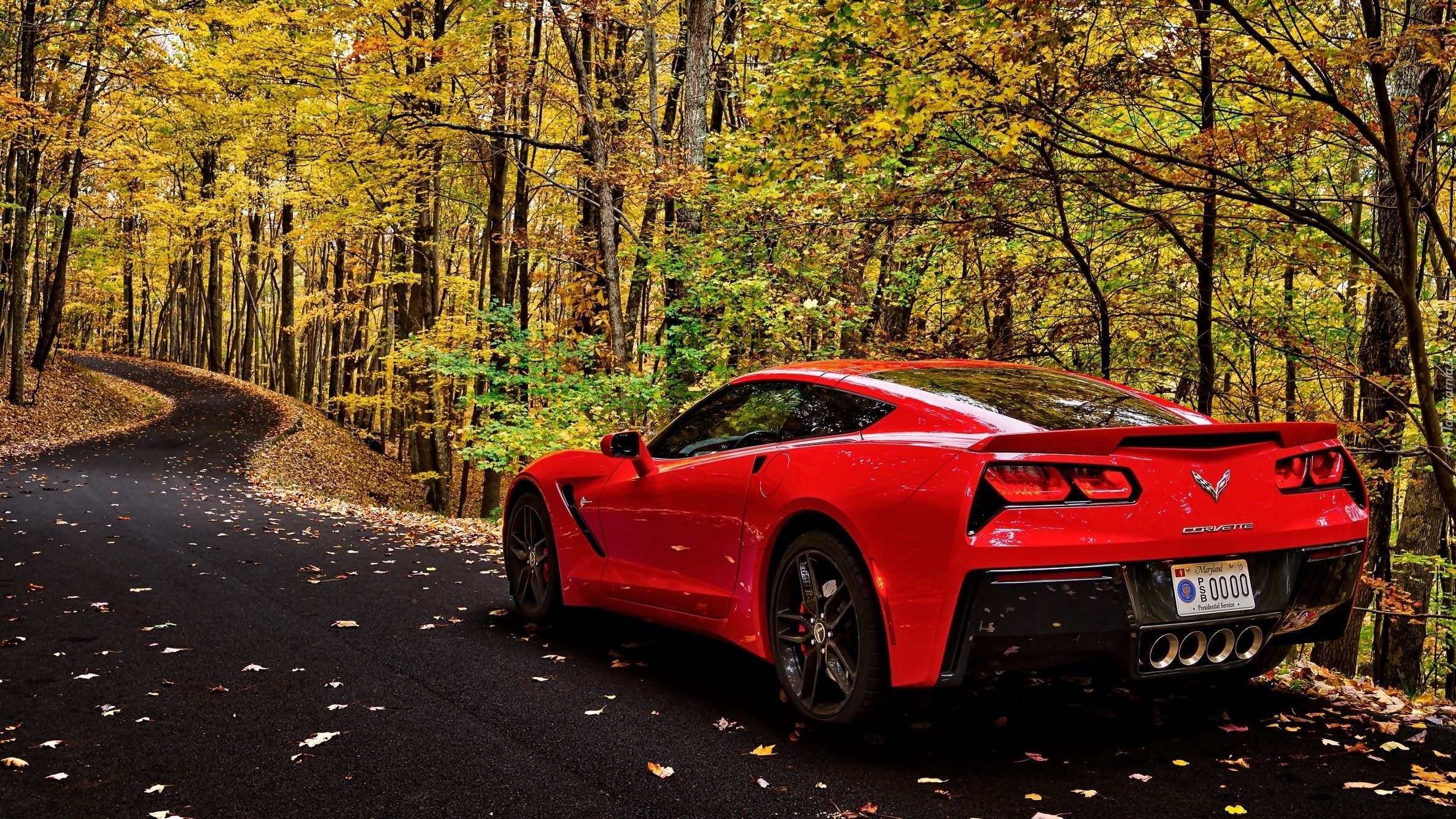 Chevrolet Corvette, Las, Droga, Liście, Jesień