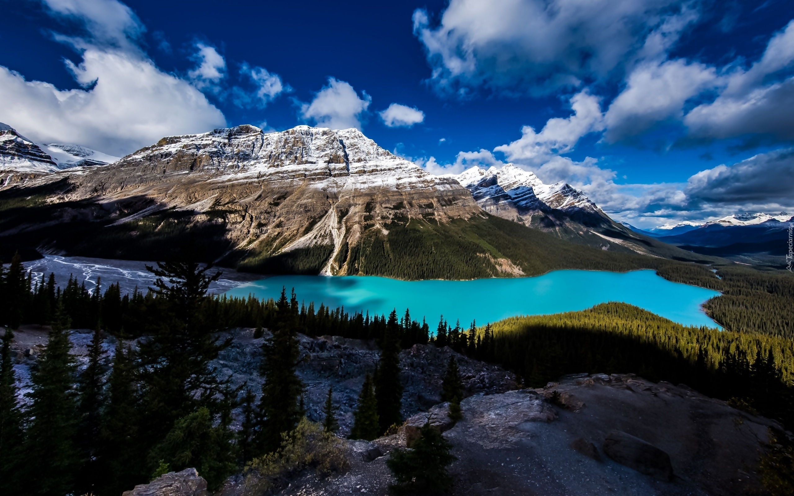Jezioro Peyto Lake, Góry, Park Narodowy Banff, Prowincja Alberta, Kanada