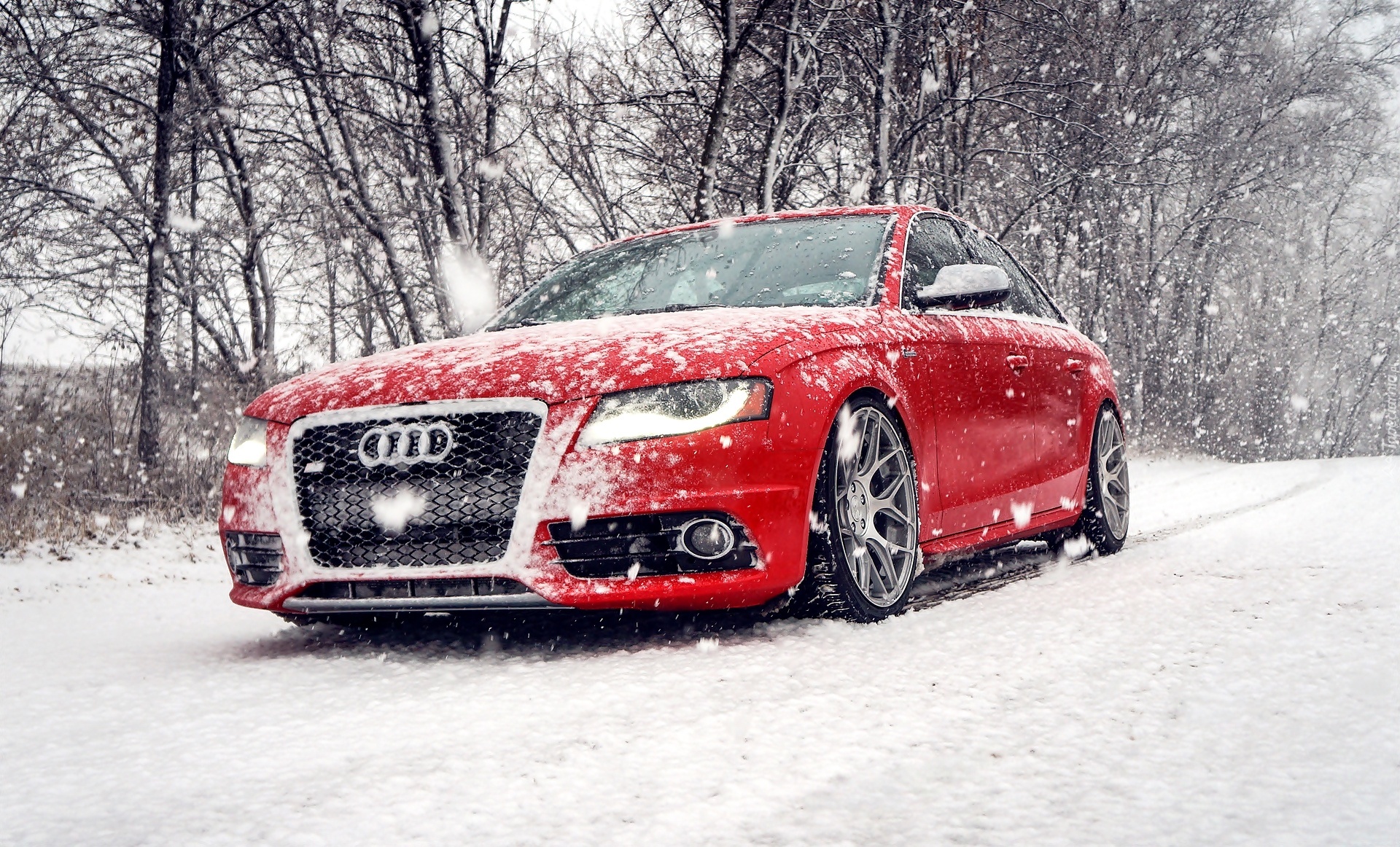 Zima, Czerwone, Padający, Śnieg Audi