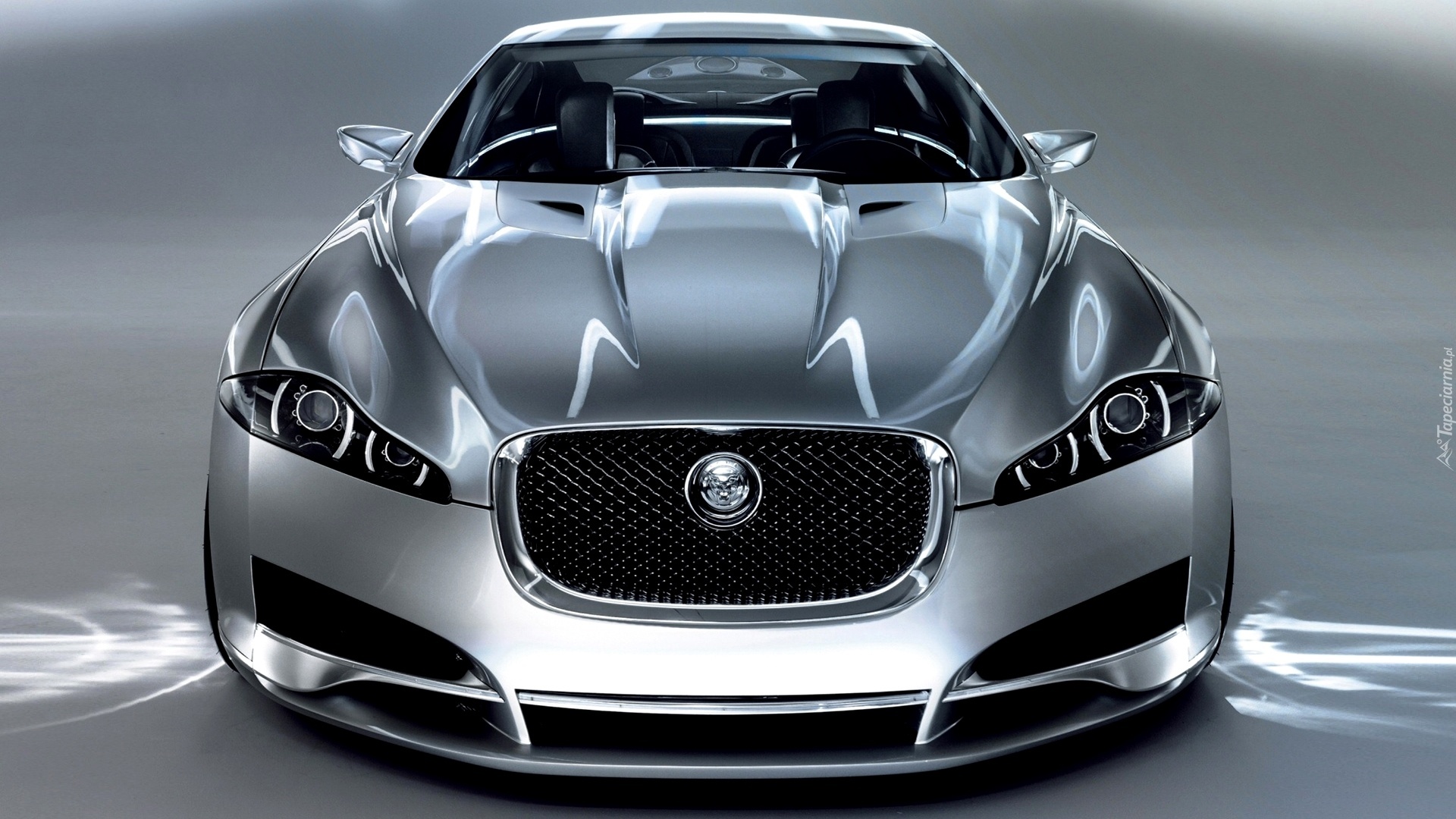 Jaguar, C-XF