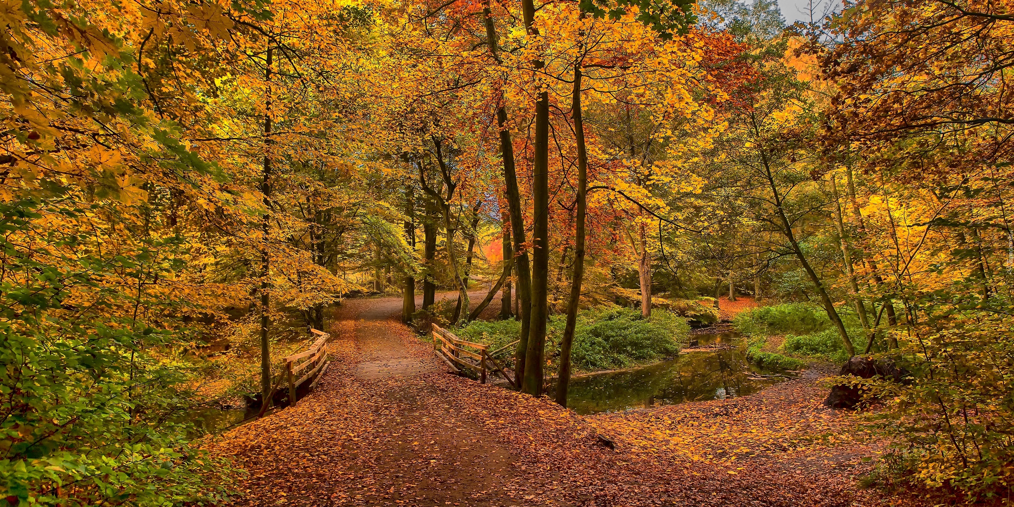 Jesień, Park