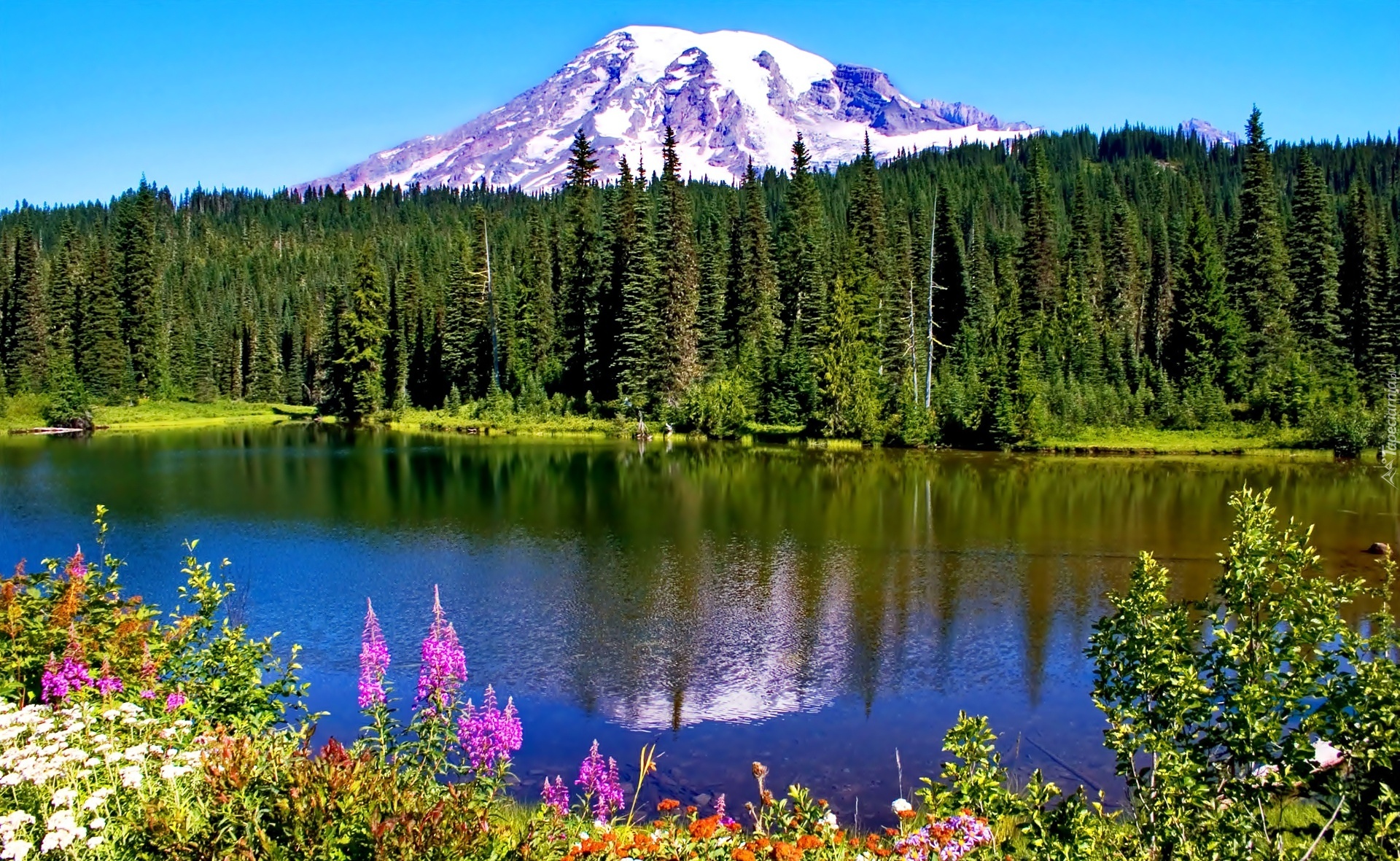 Stany Zjednoczone, Stan Waszyngton, Park Narodowy Mount Rainier, Stratowulkan Mount Rainier, Góry, Jezioro