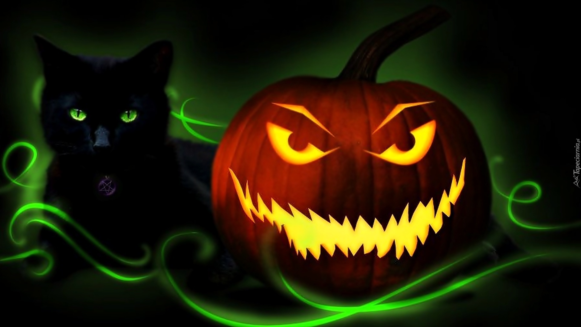Halloween, Świecąca, Dynia, Czarny, Kot