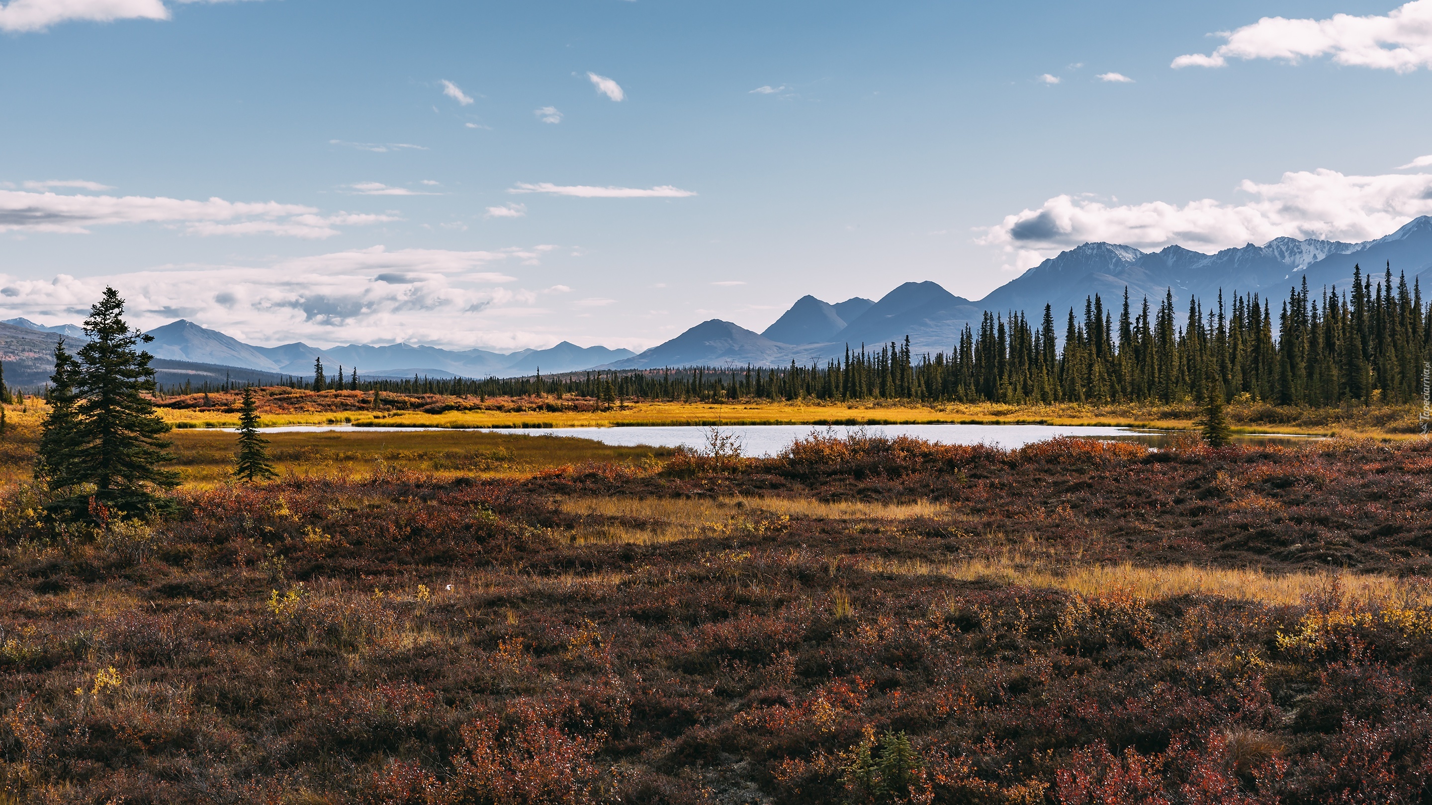 Góry, Jezioro, Lasy, Alaska