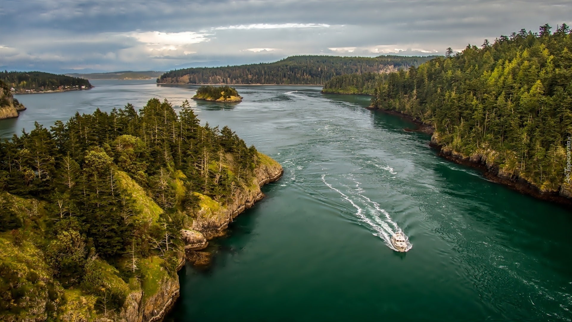 Łódka, Lasy, Wyspy, Puget Sound, Waszyngton