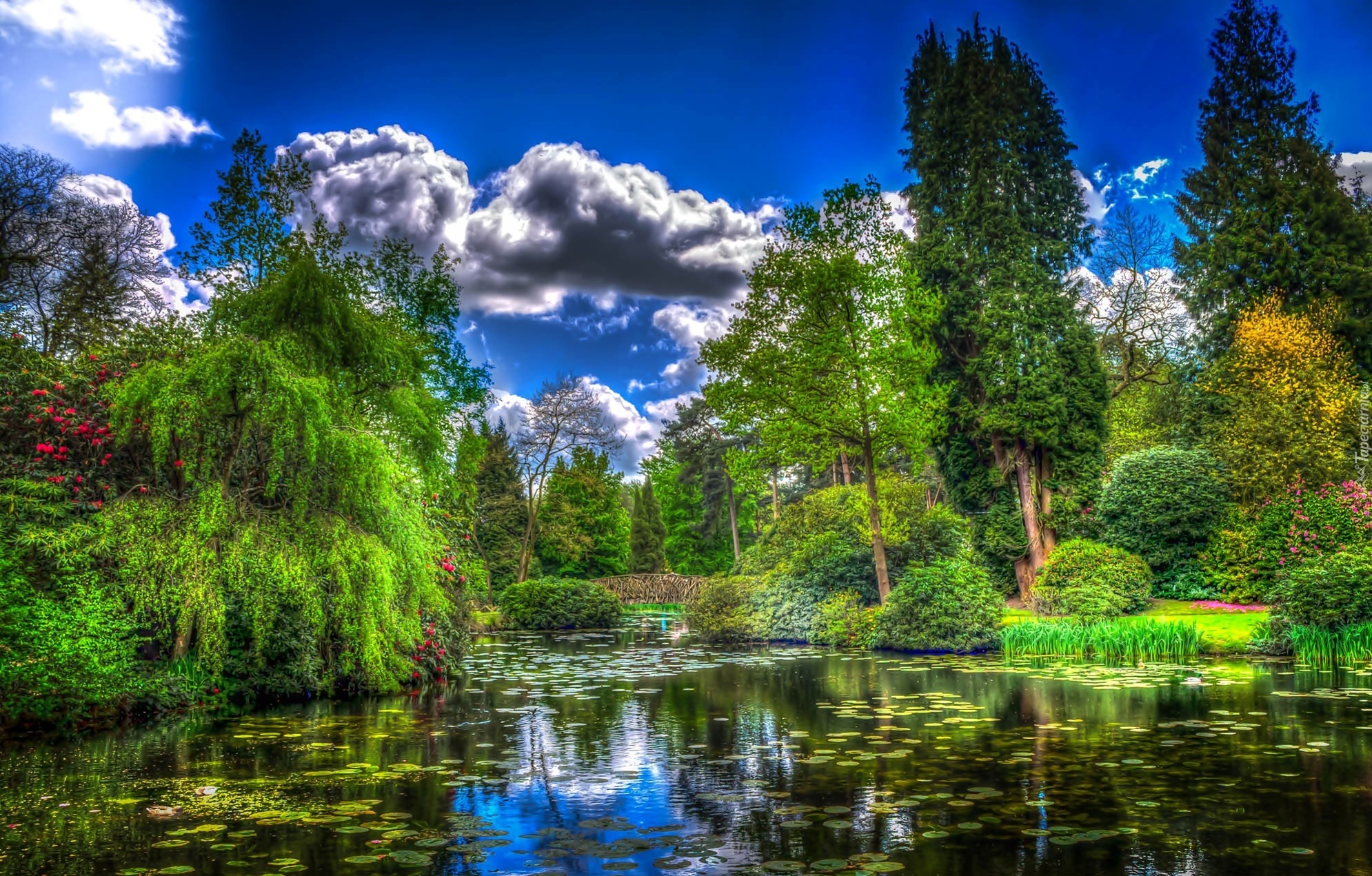 Park, Staw, Chmury, HDR