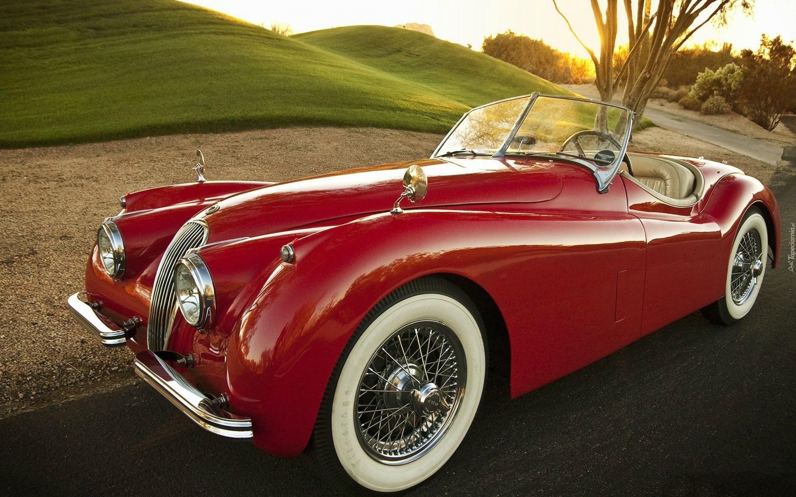 1954, Jaguar, XK,120, Roadster