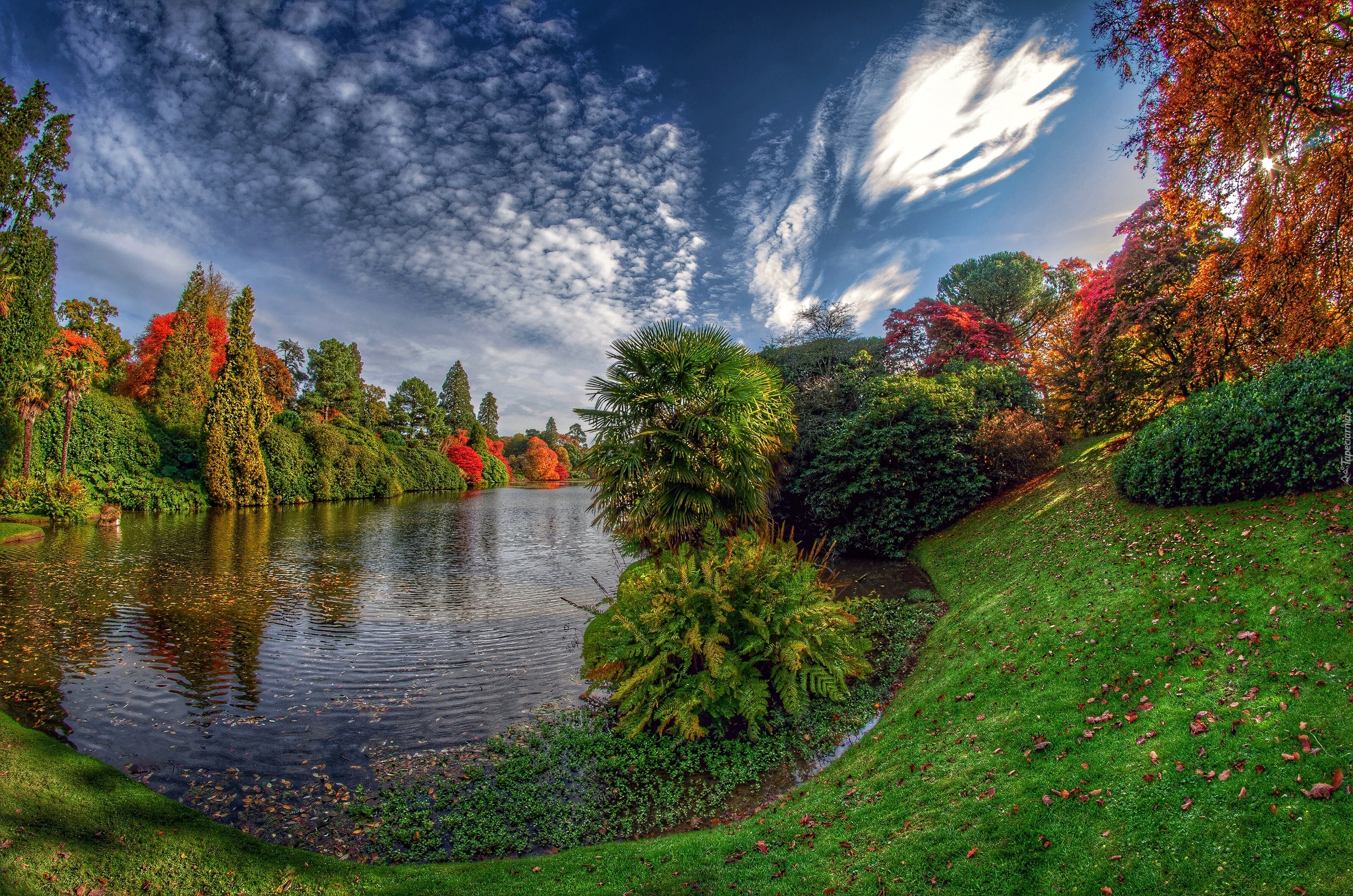 Park, Rzeka